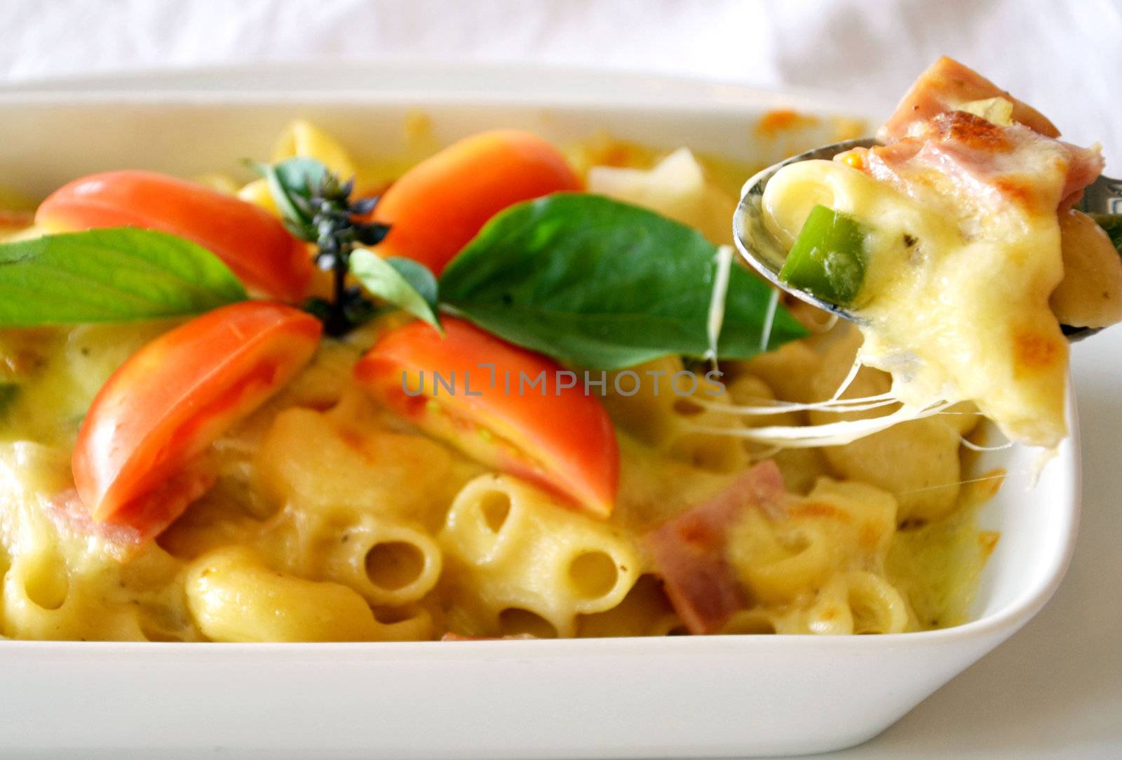 a delicious macaroni with cheese and tomato