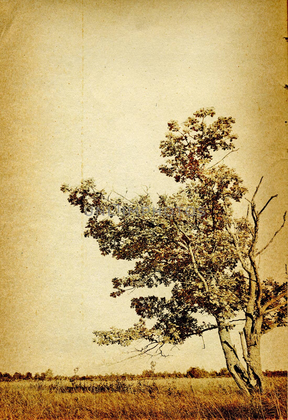 grunge background