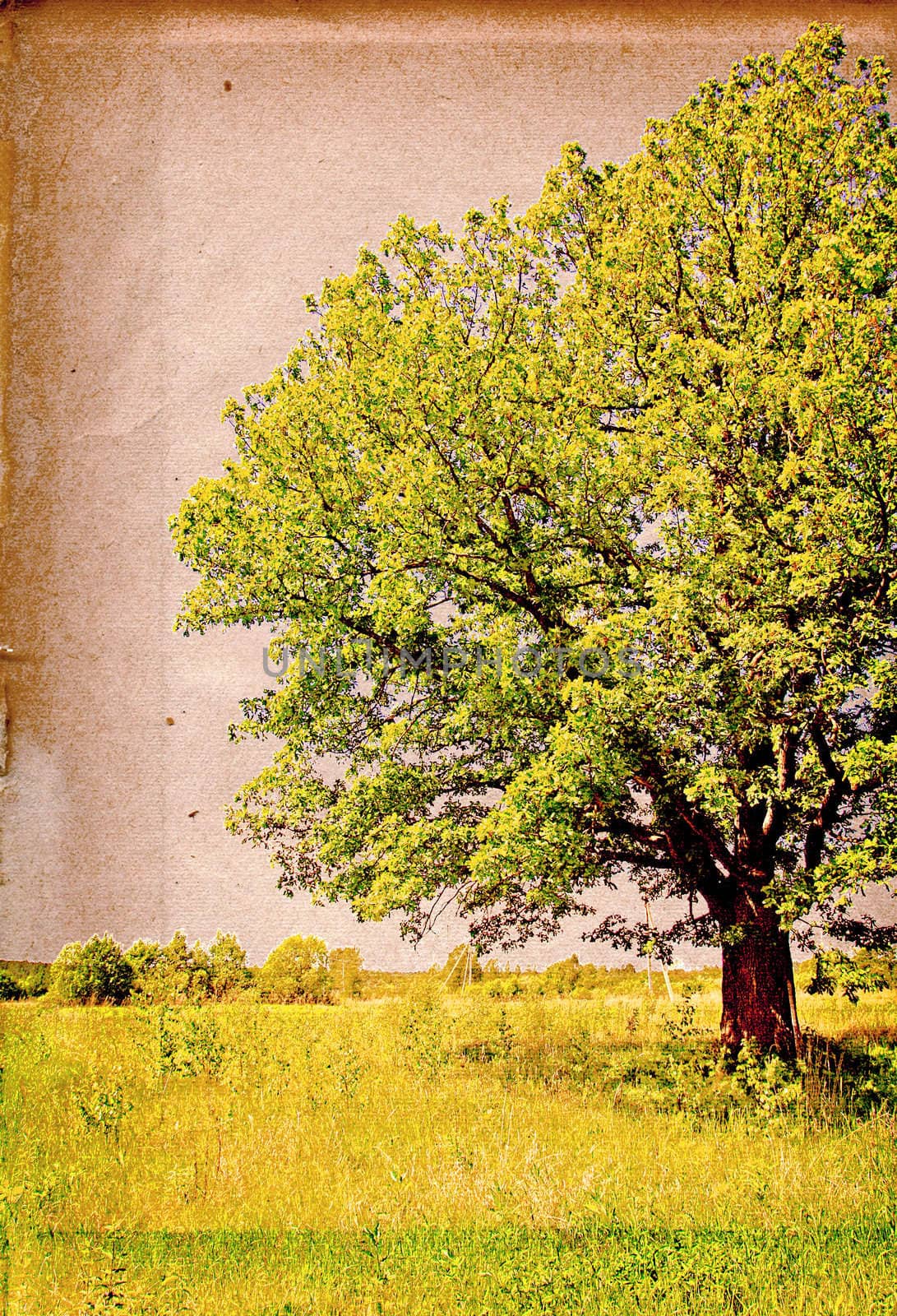 grunge background
