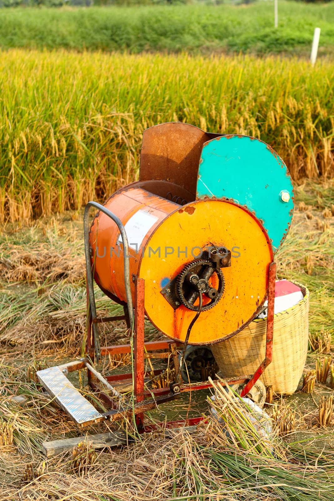 Vintage rice wood machine 