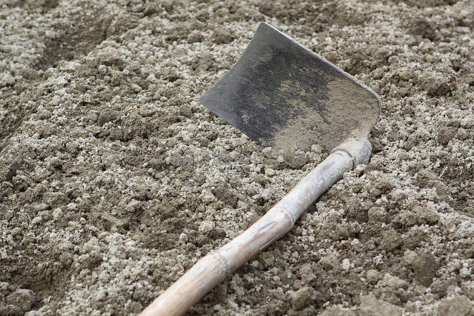 spade ready to prepare vegetable bed for sowing 
