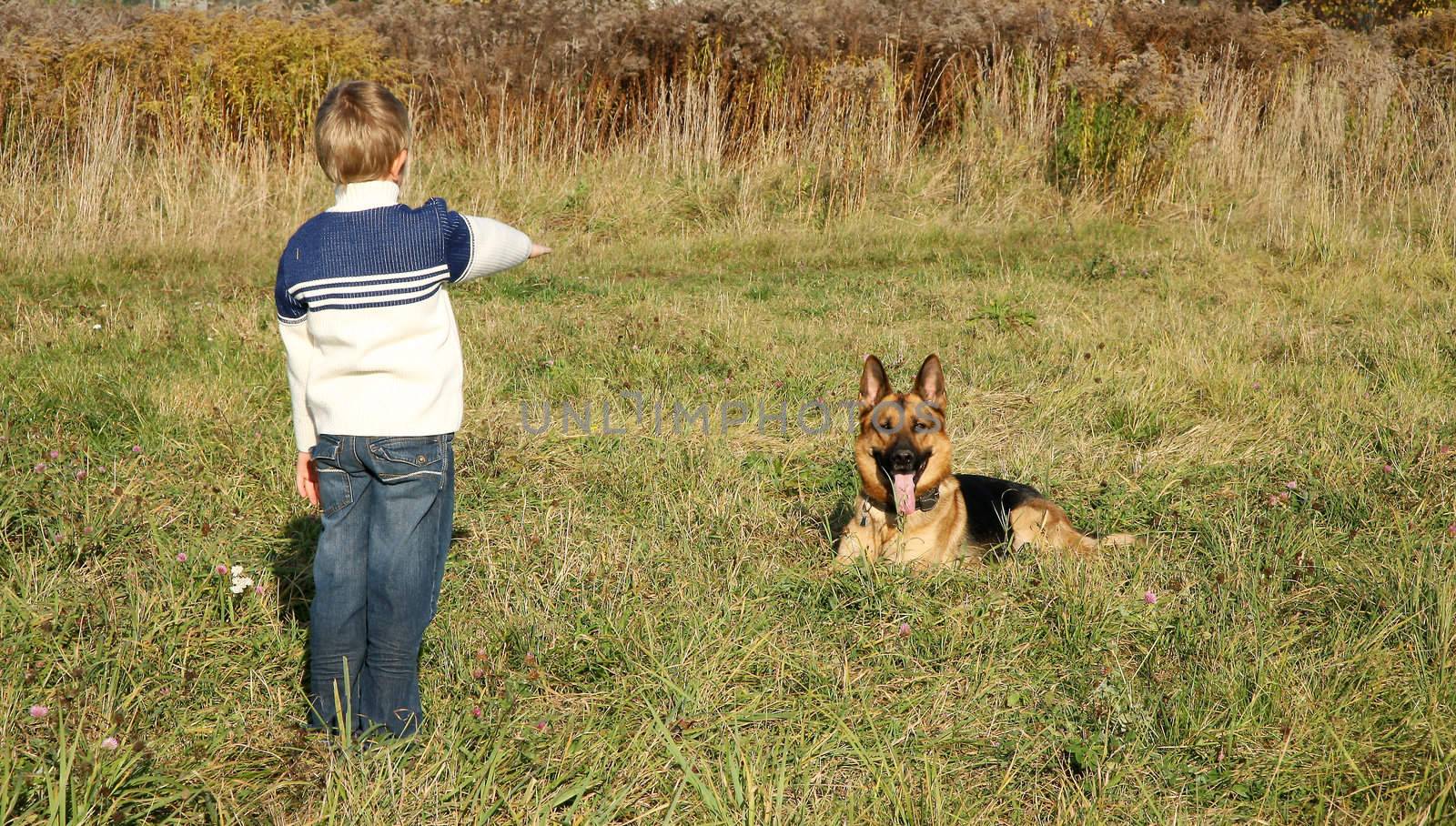 The little boy is training the big dog German Shepherd Dog ). The obedience and the cooperation.