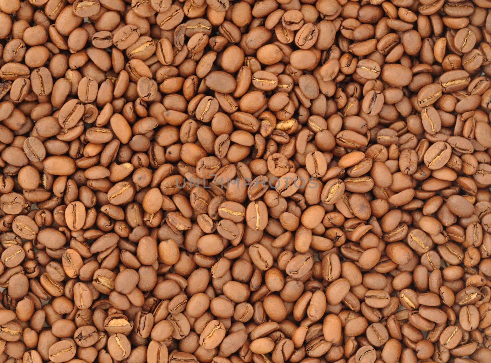 Lots of Natural Roasted Coffee Beans Background.