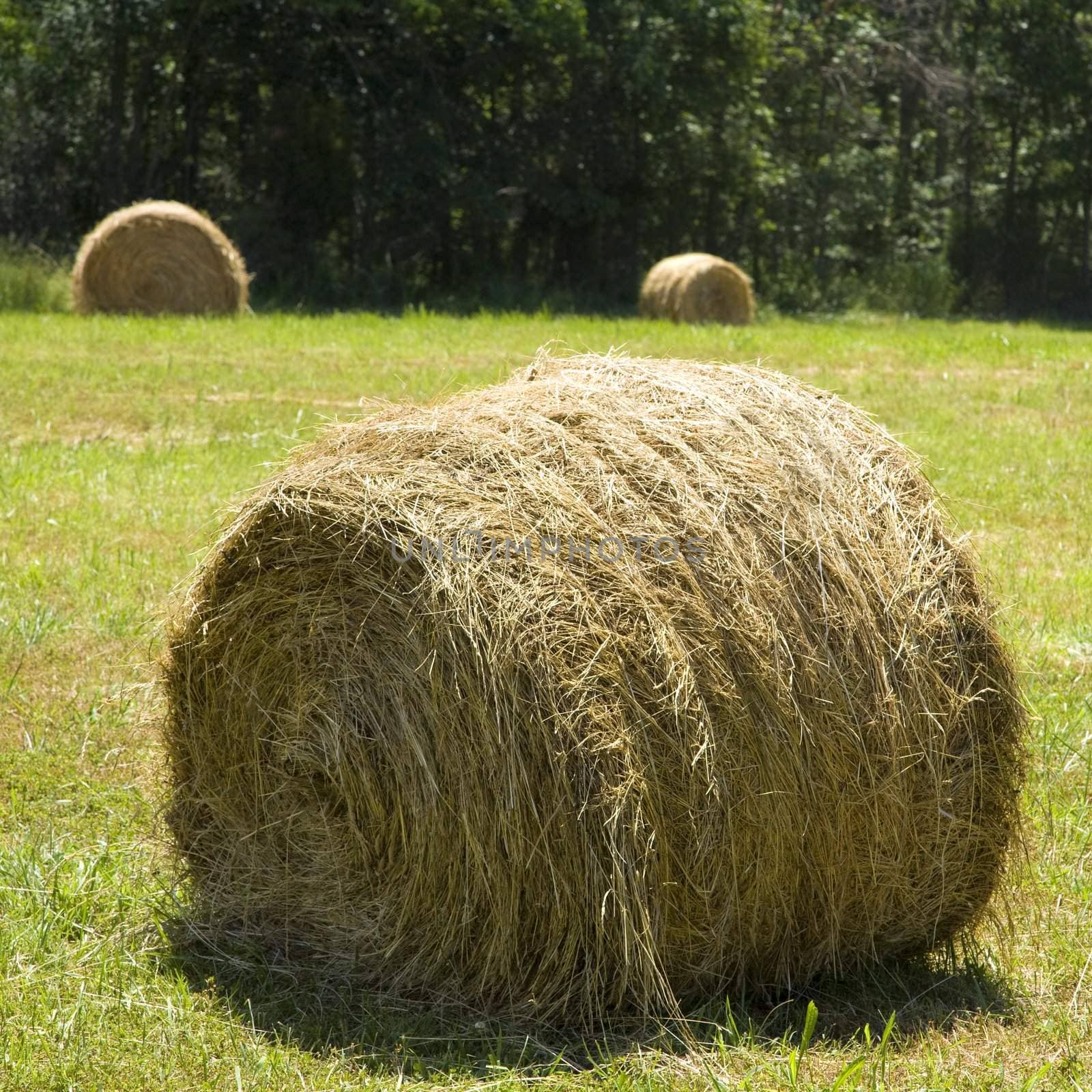 Hay bale in field with others in background.