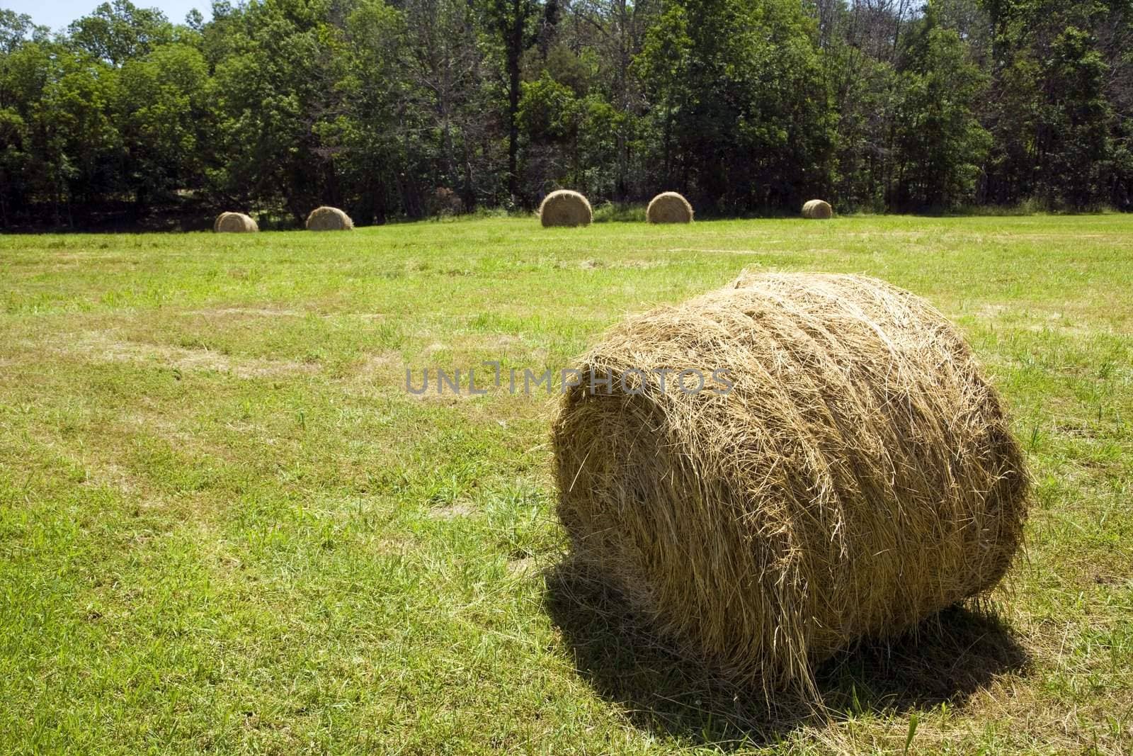Hay bale in farm field.