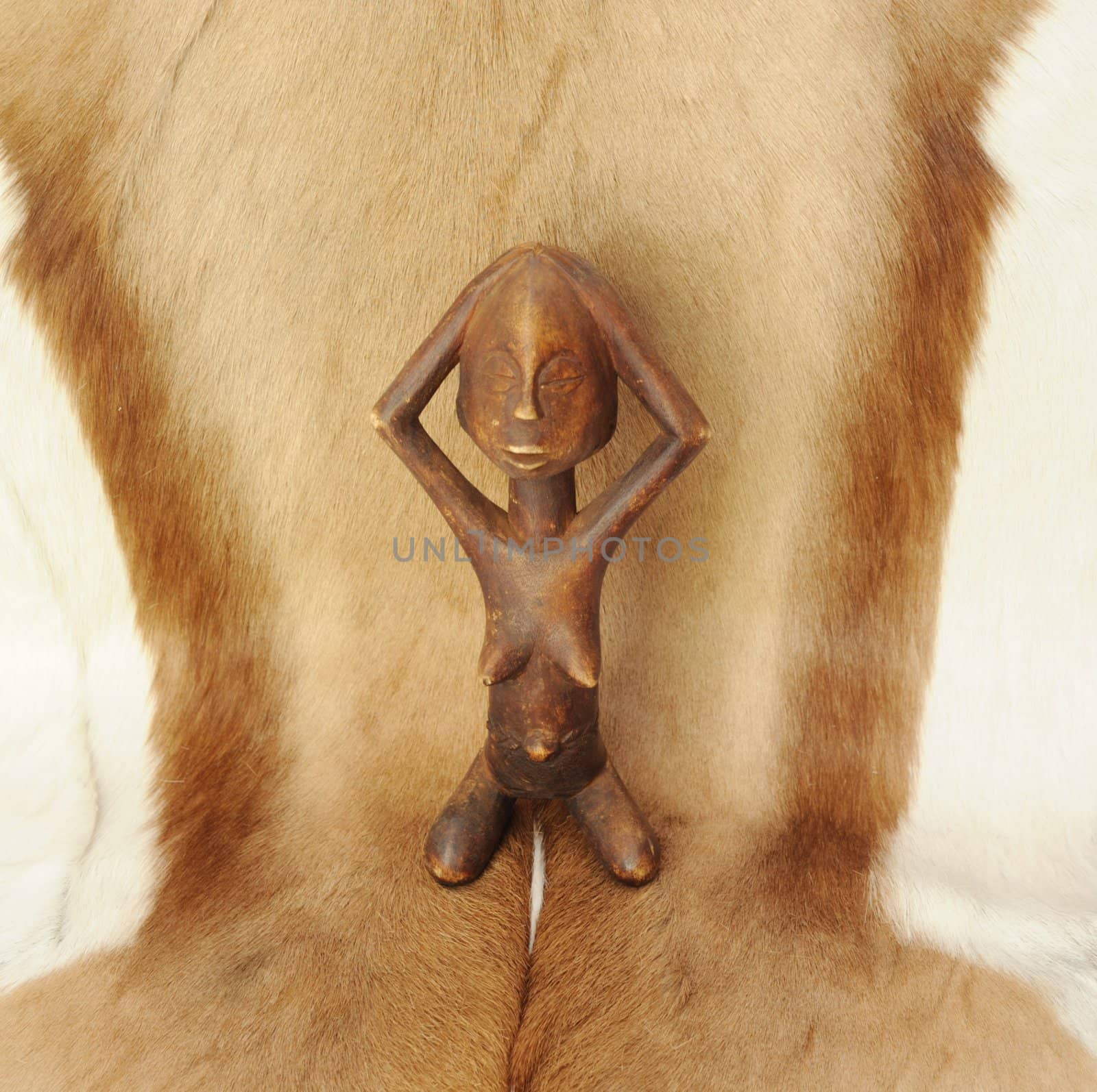 Lovely Naked African Wooden Figure on 
Natural Animal Fur.