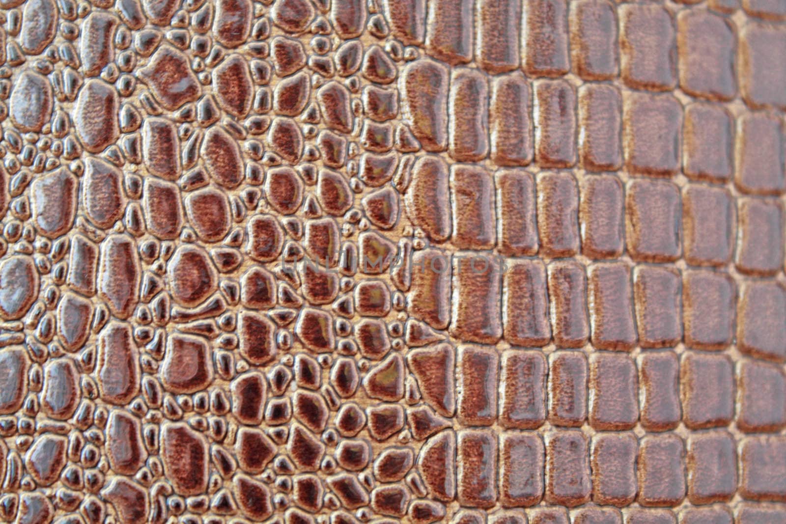 Crocodile texture by Lessadar