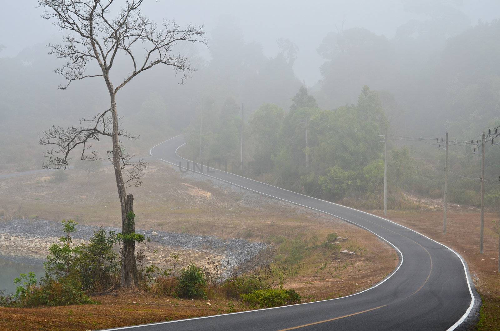 Stretch of road in the valley. Khao Yai, a Thai forest, a World Heritage Site.
