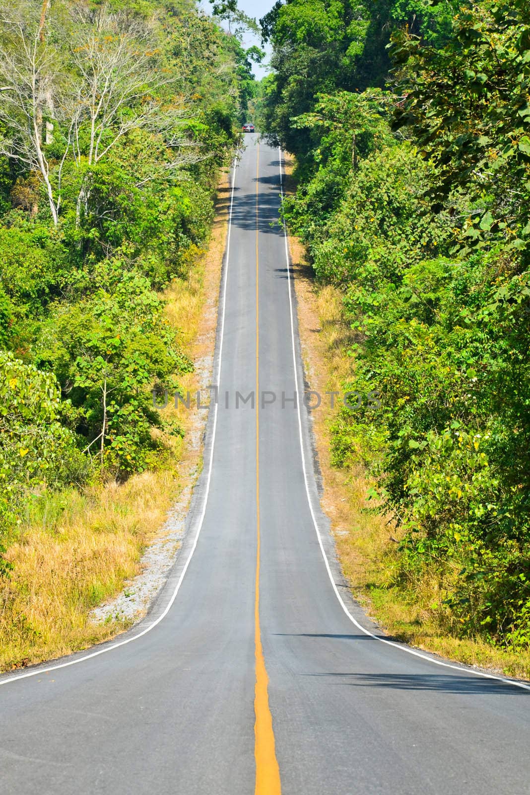 Road into the valley of Khao Yai, a Thai forest, a World Heritage Site.