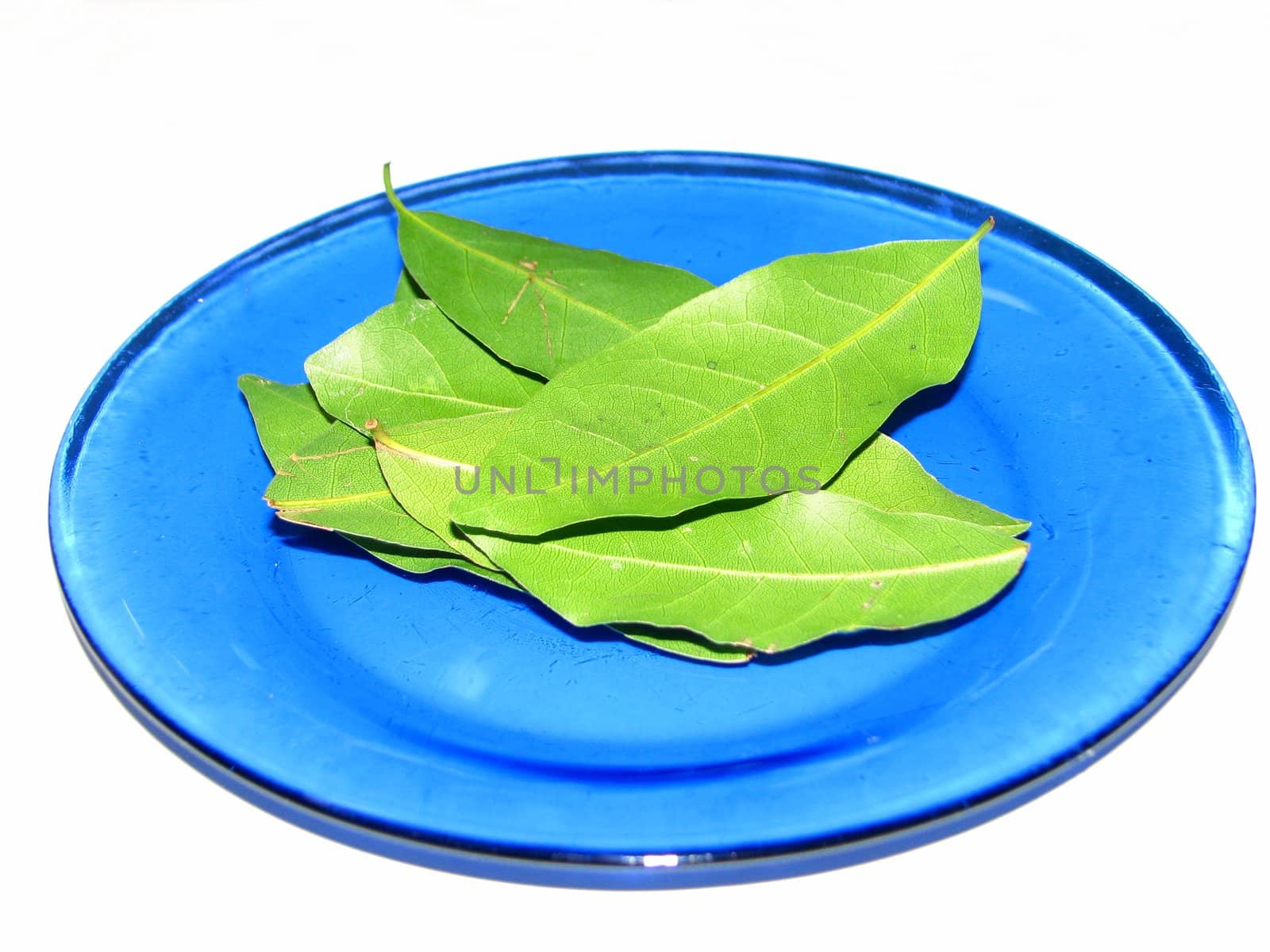 bay leaves