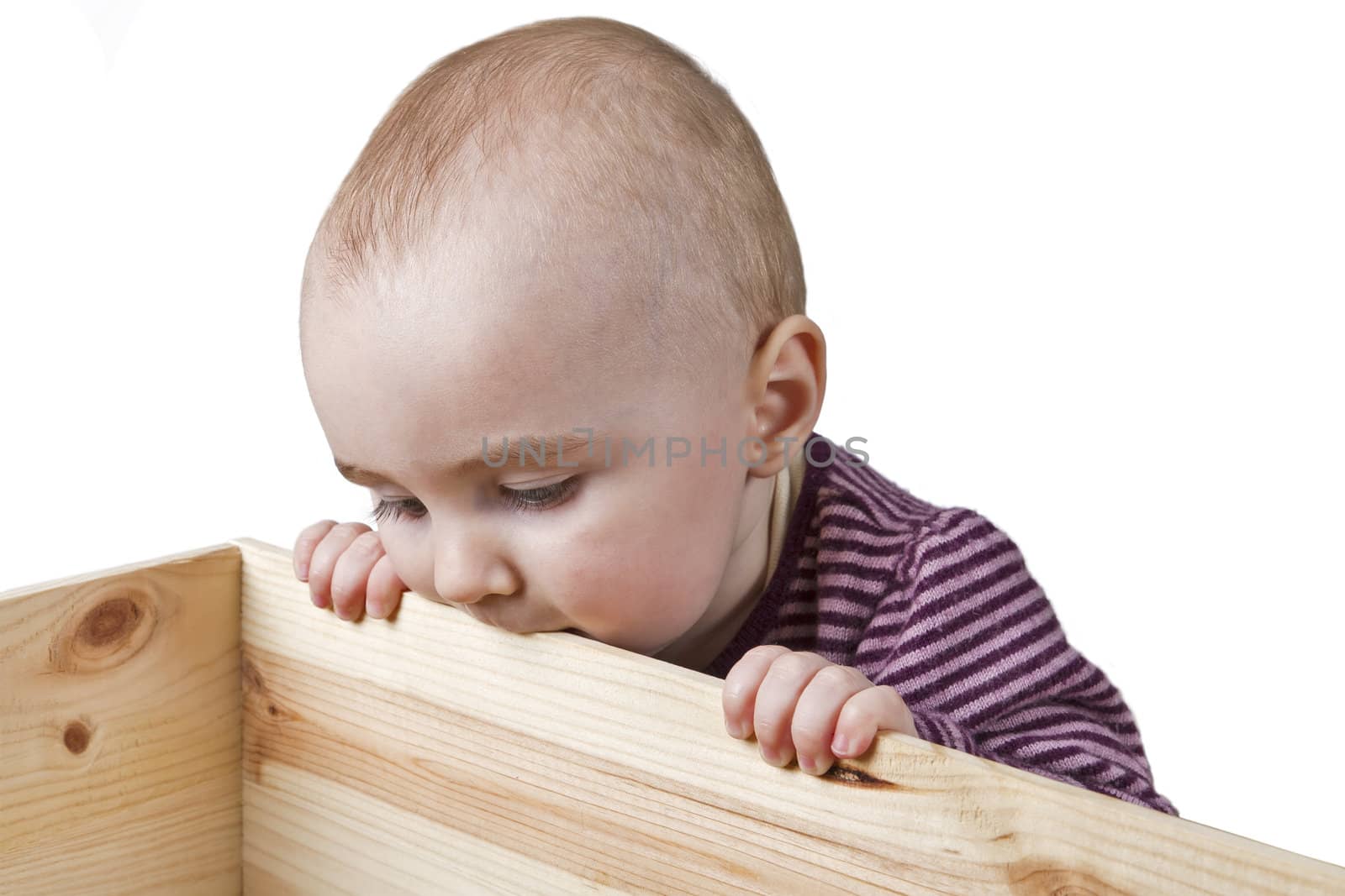baby looking into wooden box. isolated on white background