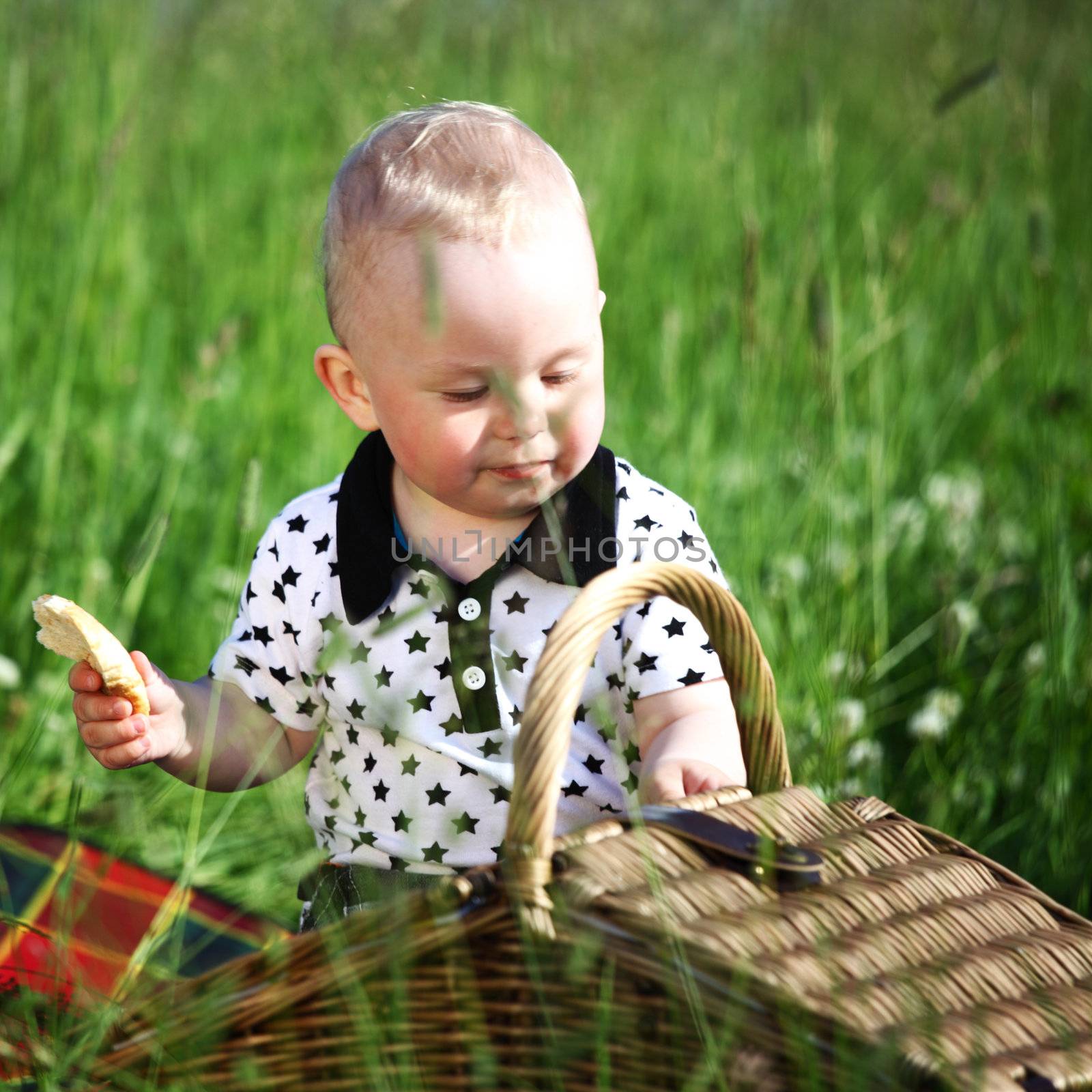  picnic on green grass boy and basket