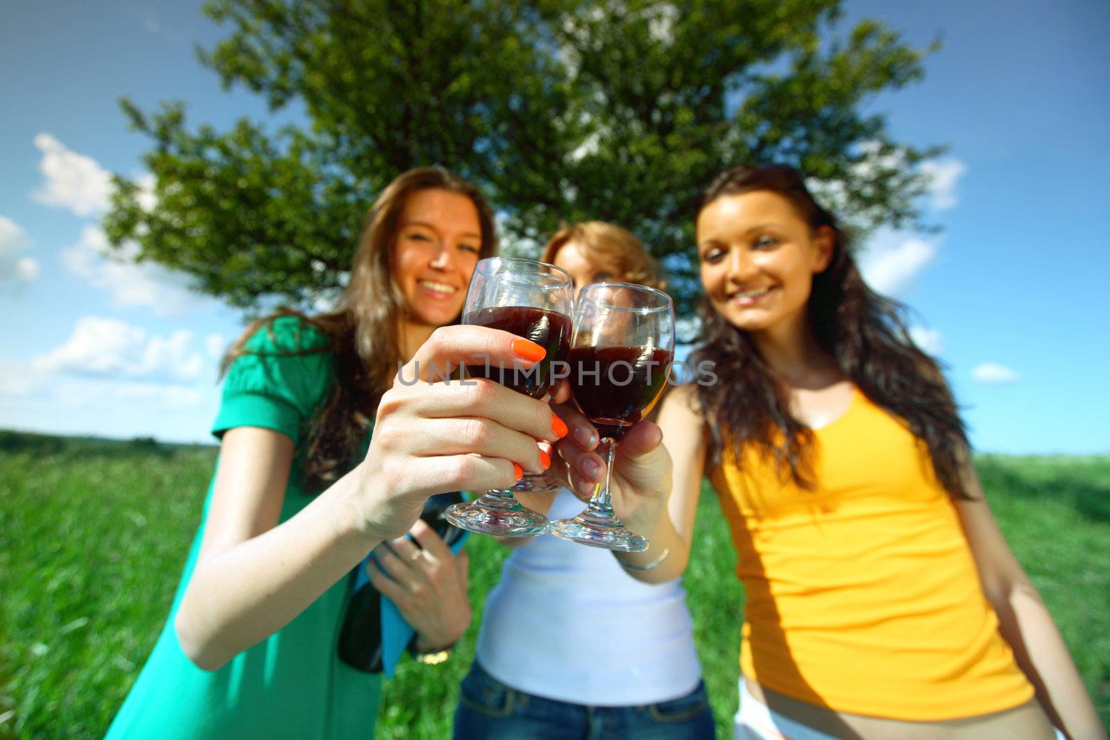 girlfriends on picnic in green grass