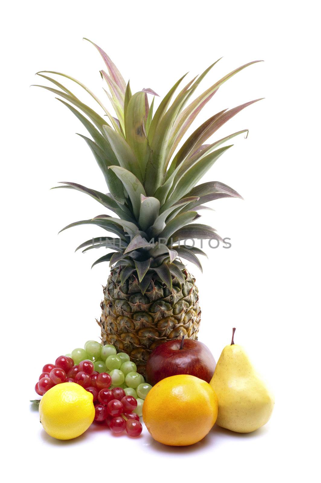 Various fruits on white background