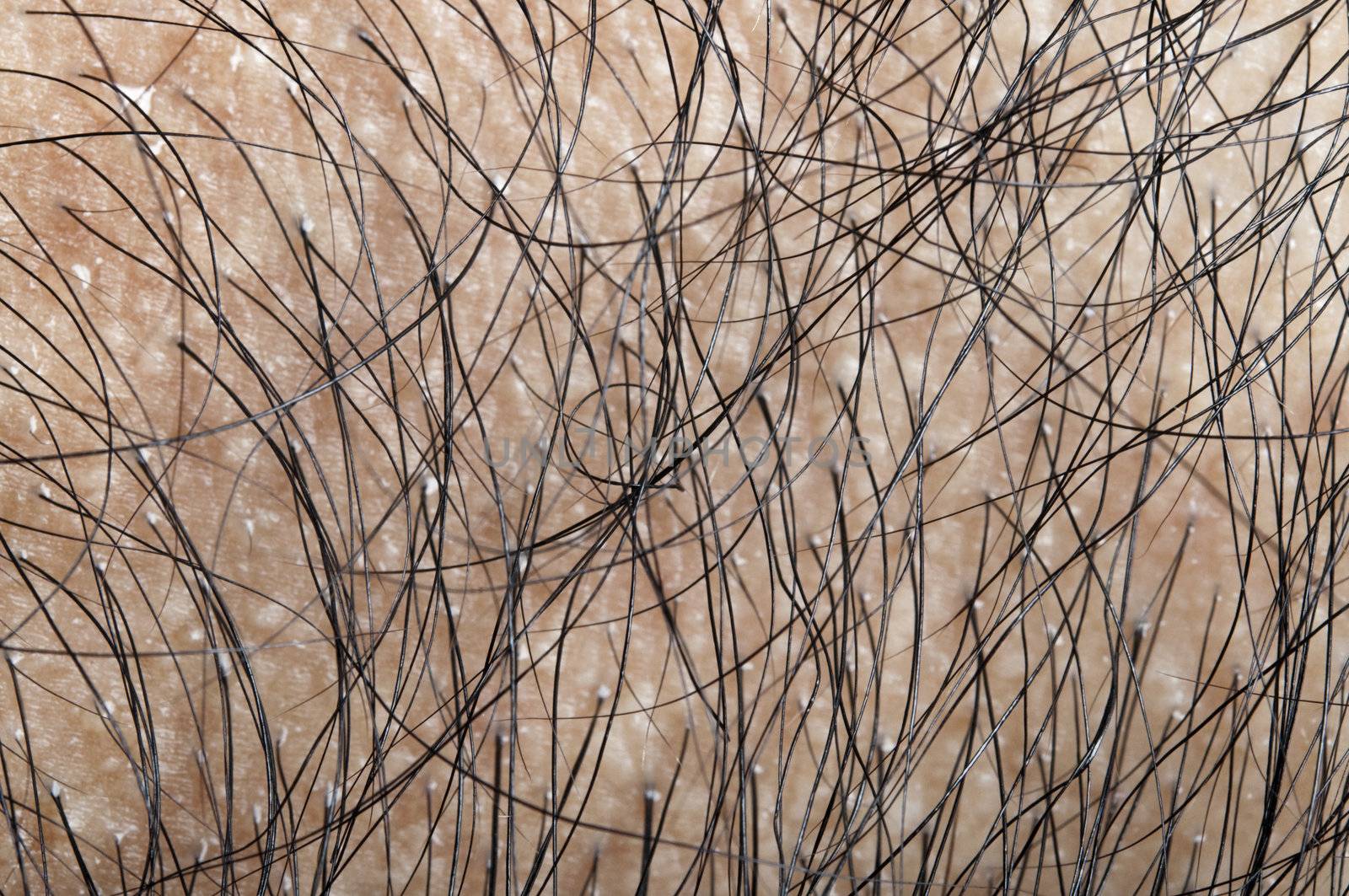 Close up on human hair