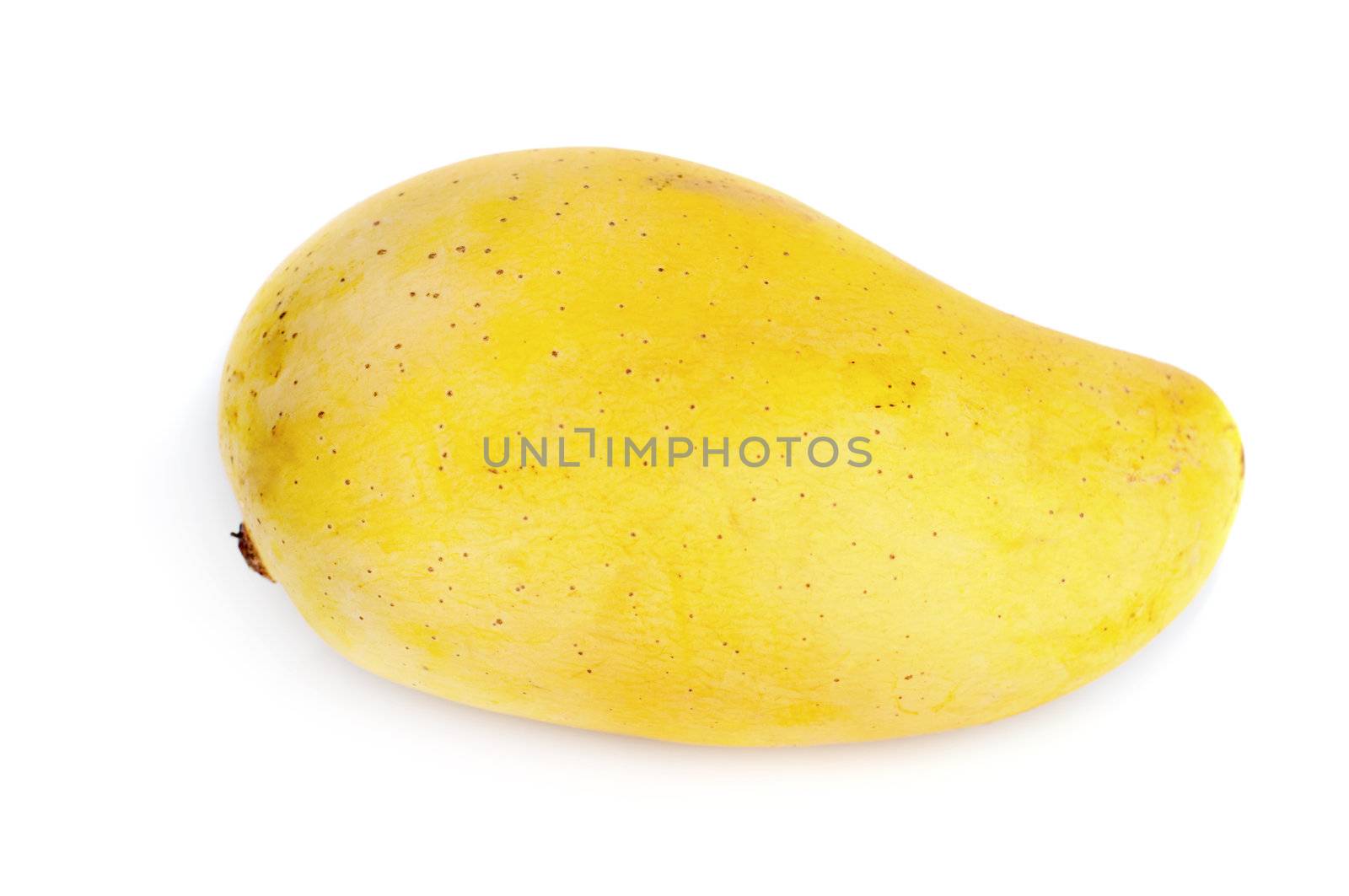 Fresh tropical mango on a white background
