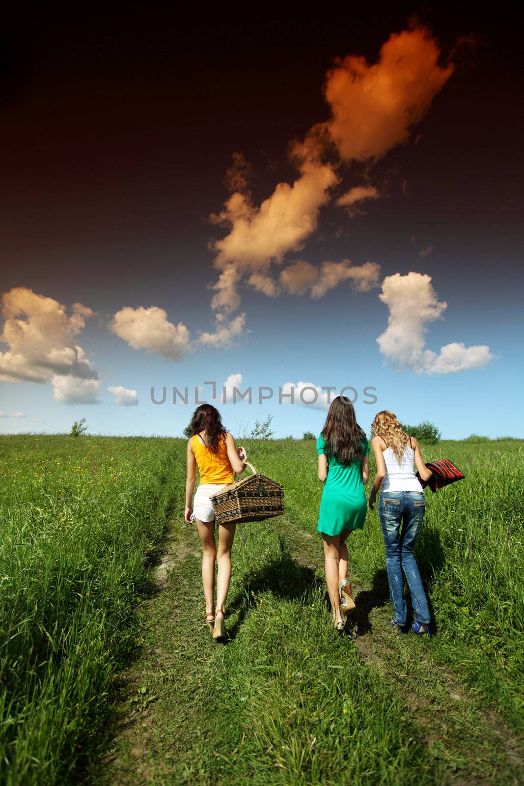 girlfriends on picnic in green grass field