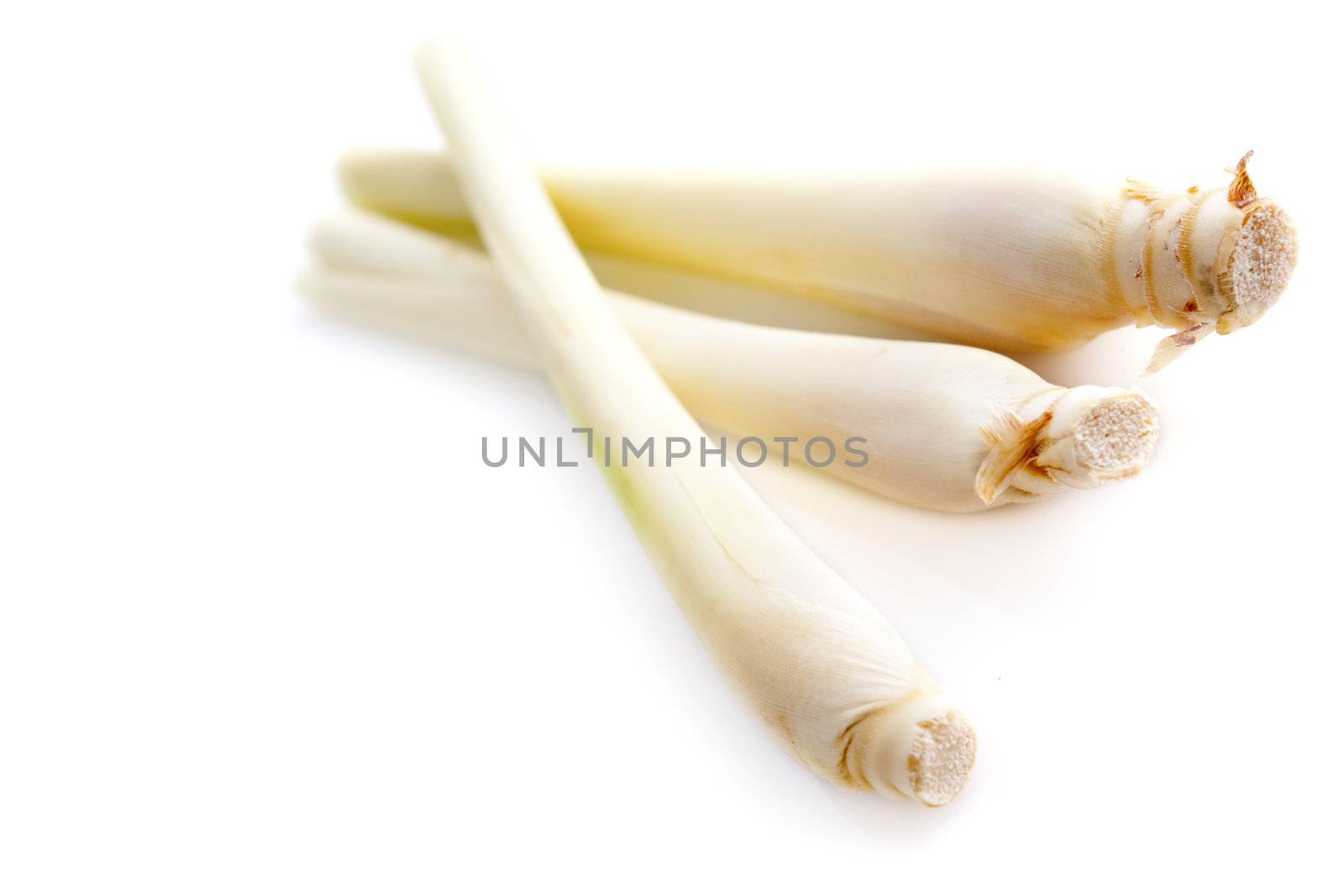 Fresh Lemon Grass isolated on white background