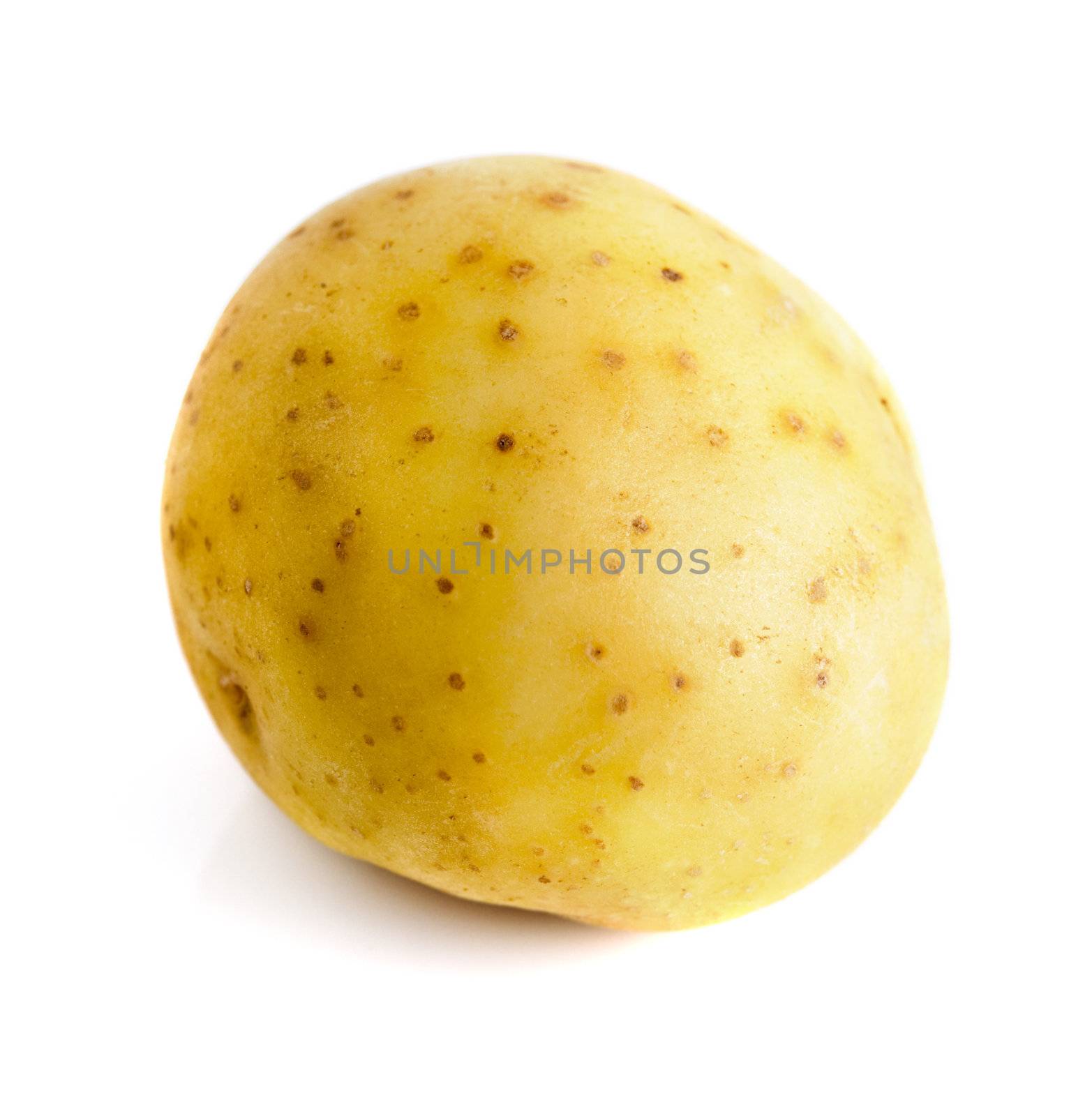 Single raw potato isolated on a white background.