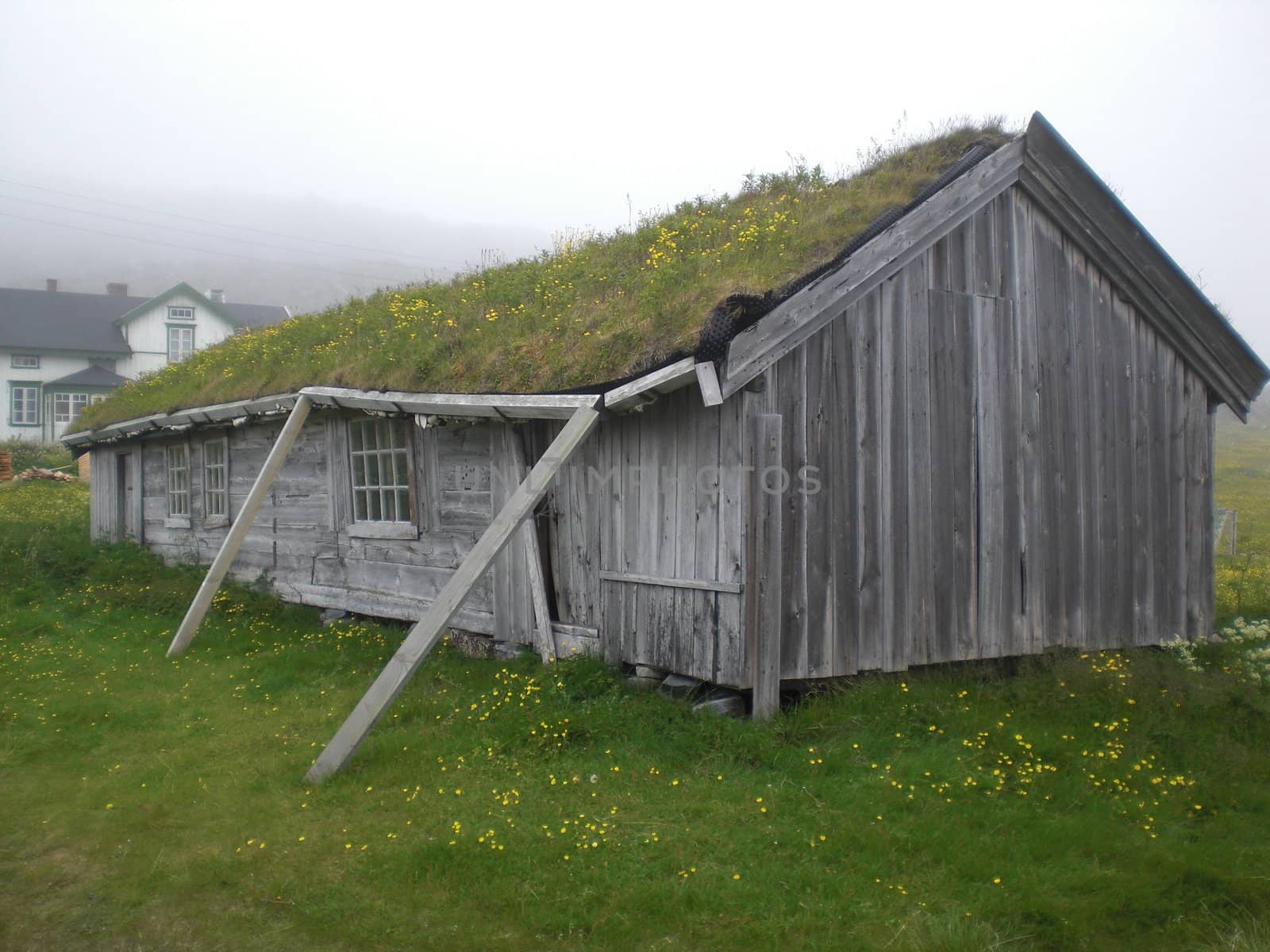 Barn in Hamningberg