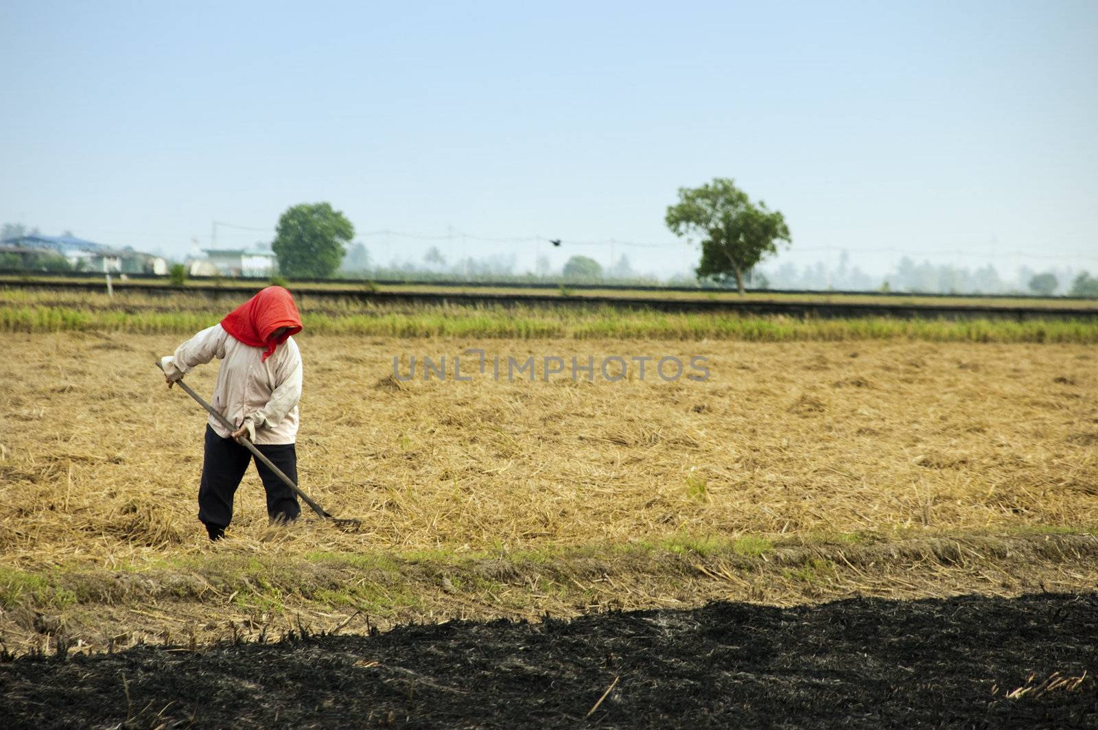 Farmer by szefei