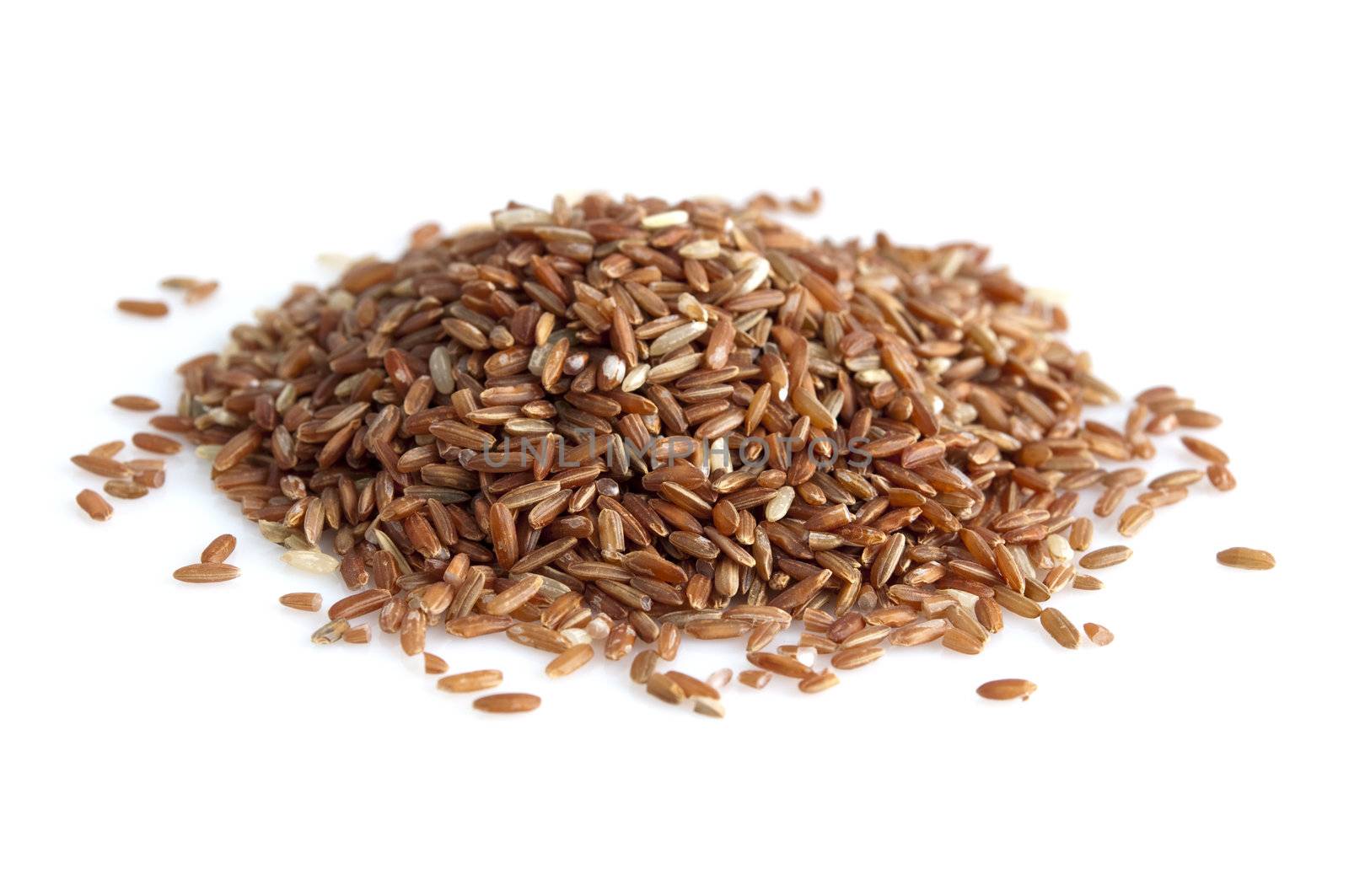 Unpolished red rice on white background. Product of Thailand, Asia.