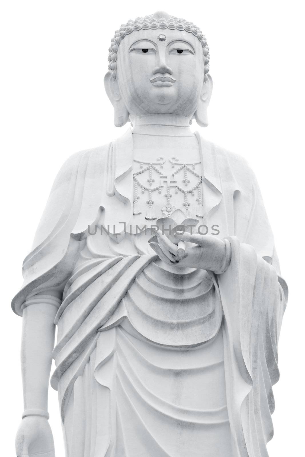Giant Buddha statue isolated on white background