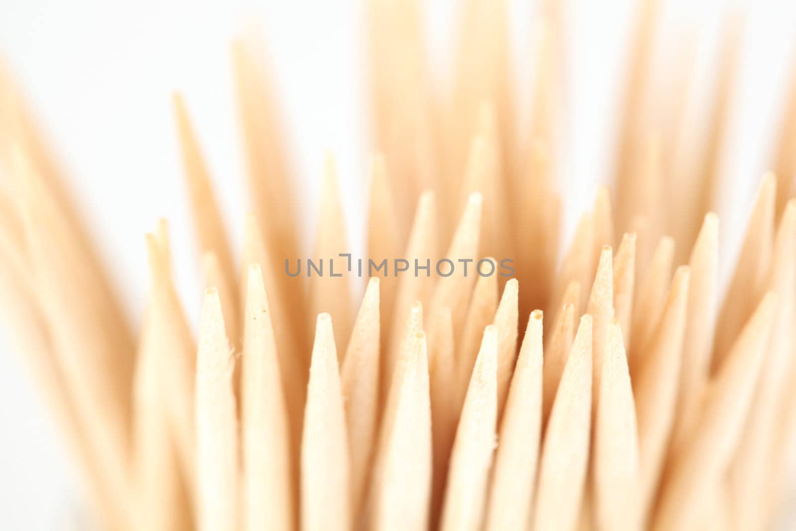 toothpick macro close up