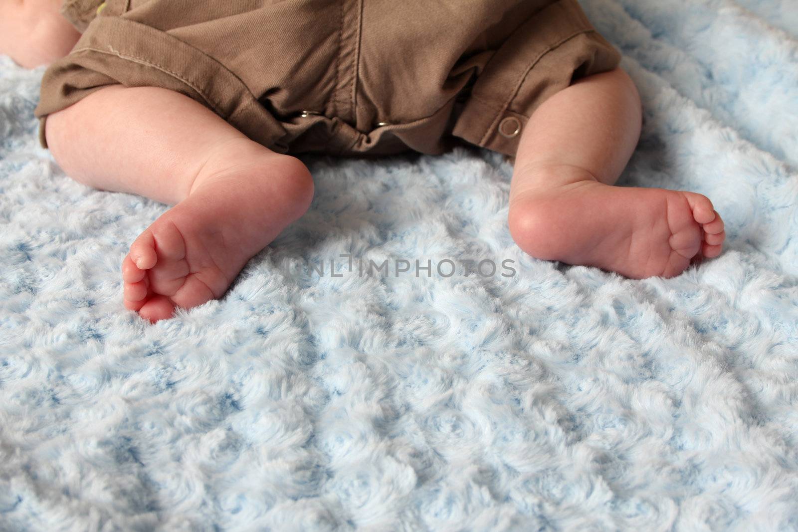 Newborn baby feet on a soft blanket