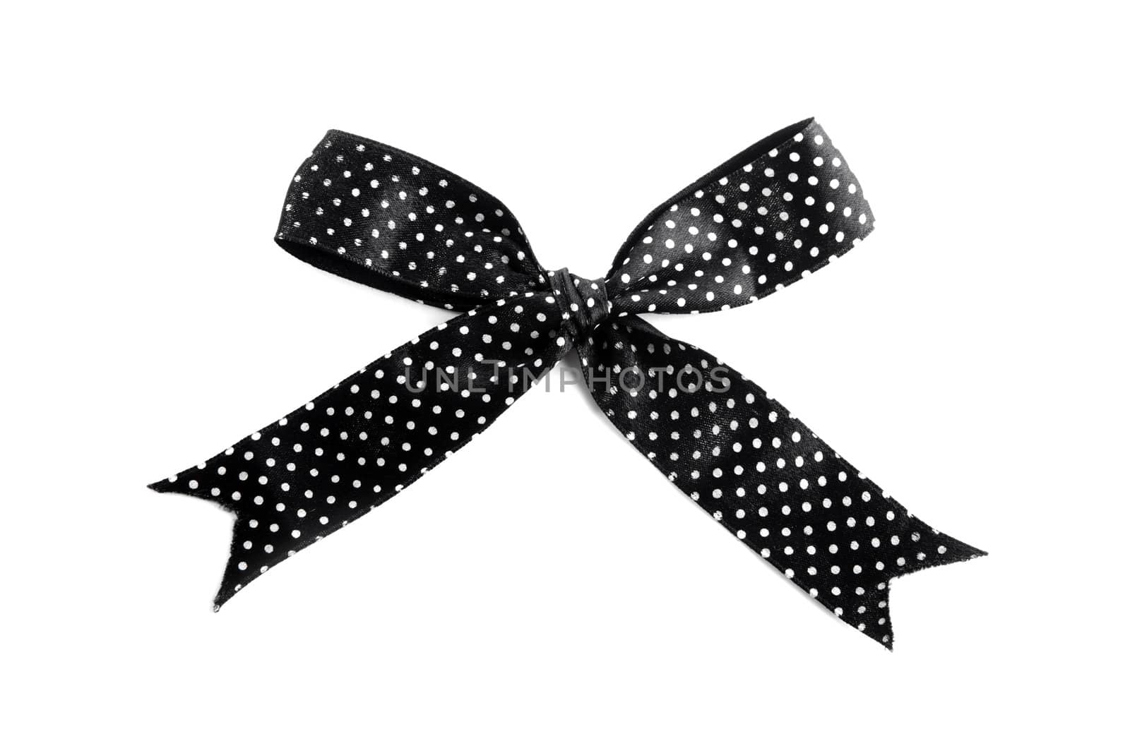 Black bow on white background