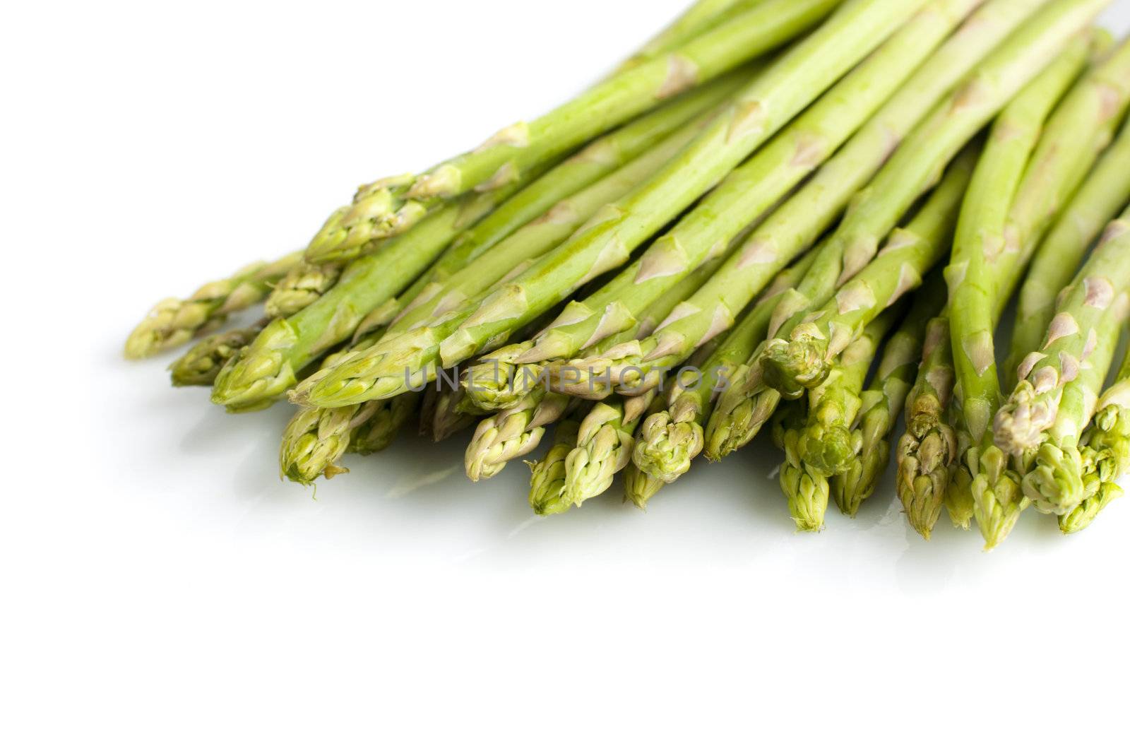 Bundle of fresh asparagus on white background