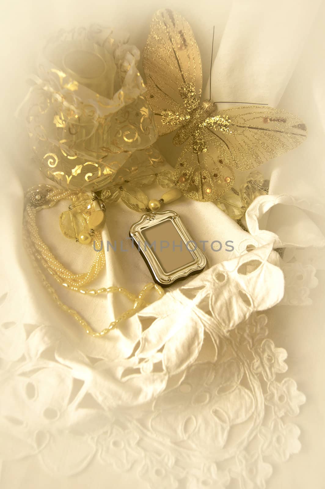 still life with lace and butterfly              