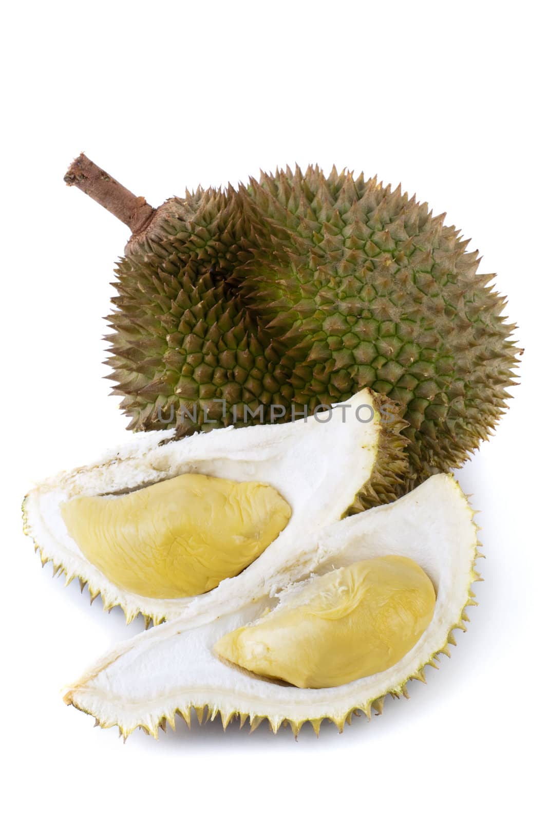 Durian by szefei