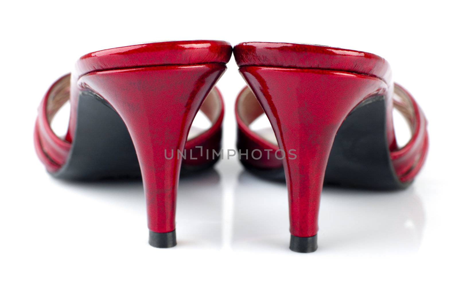 Pairs of woman high heels at rear view, on white background