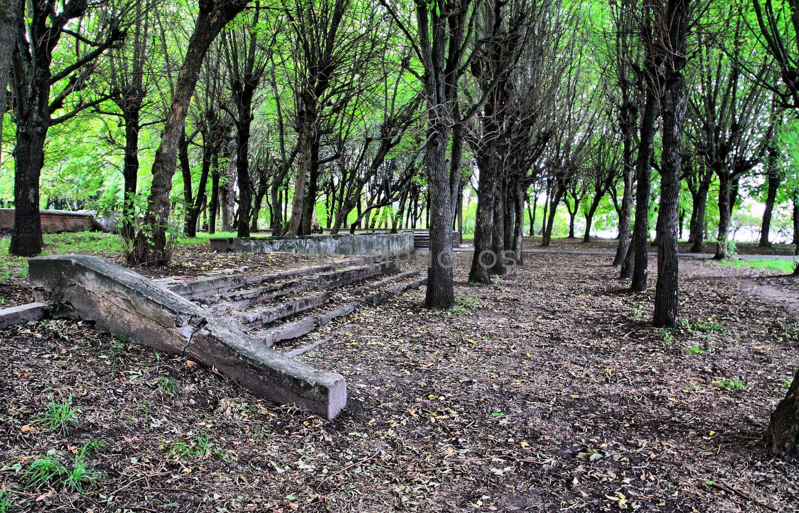 aging stairway in spring park