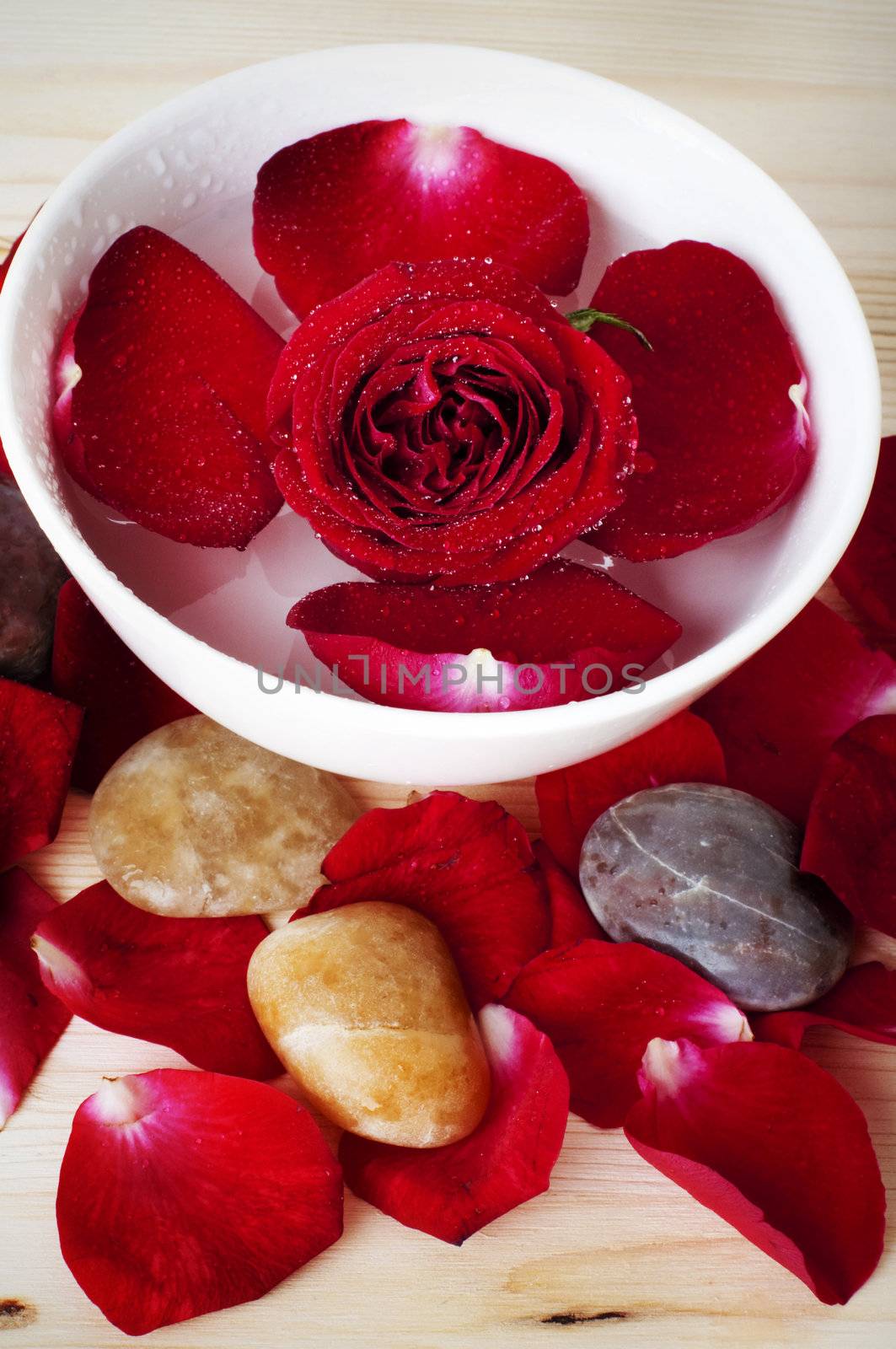 Close up rose and pebbles spa concept