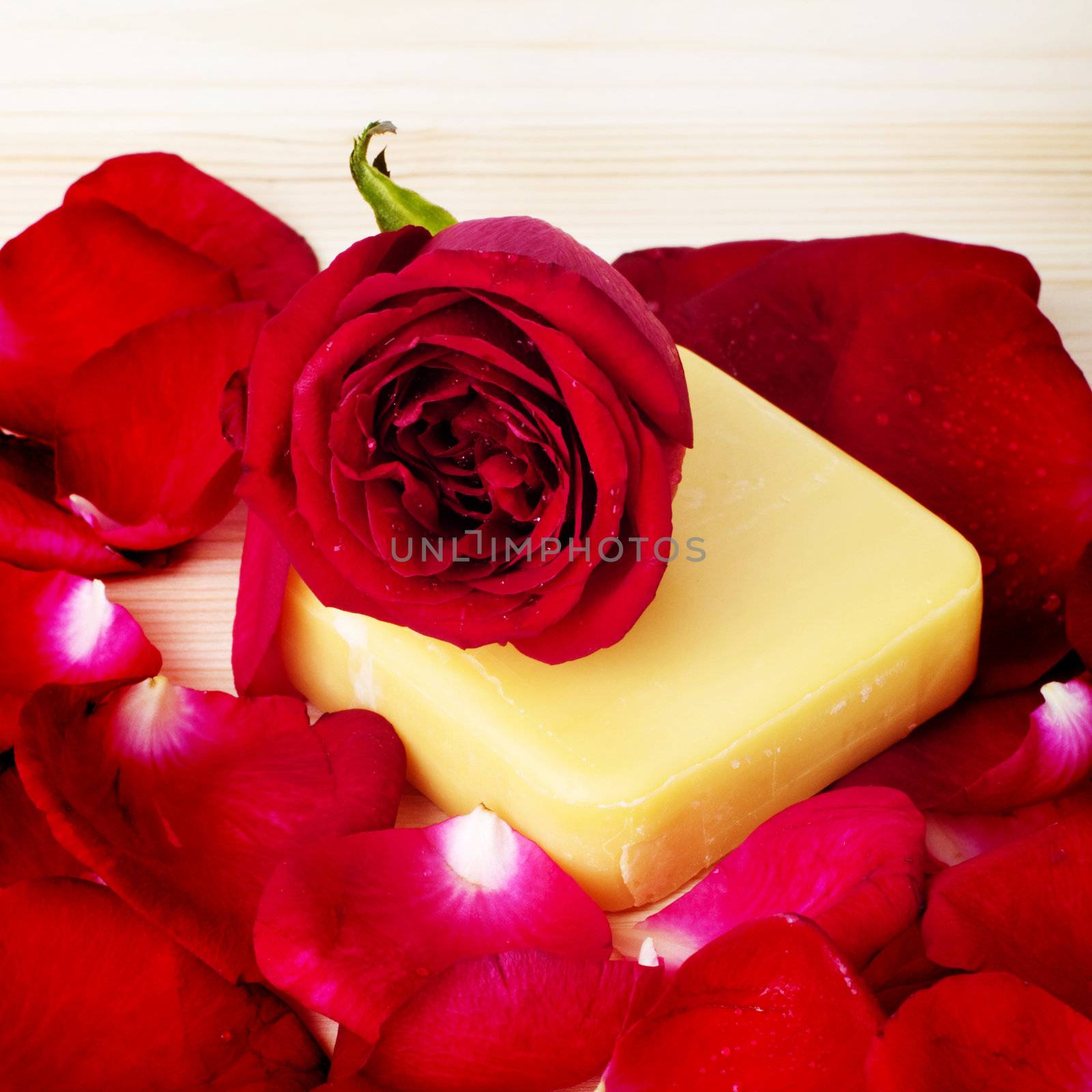 Red rose and soap. Bathroom or wellness background.