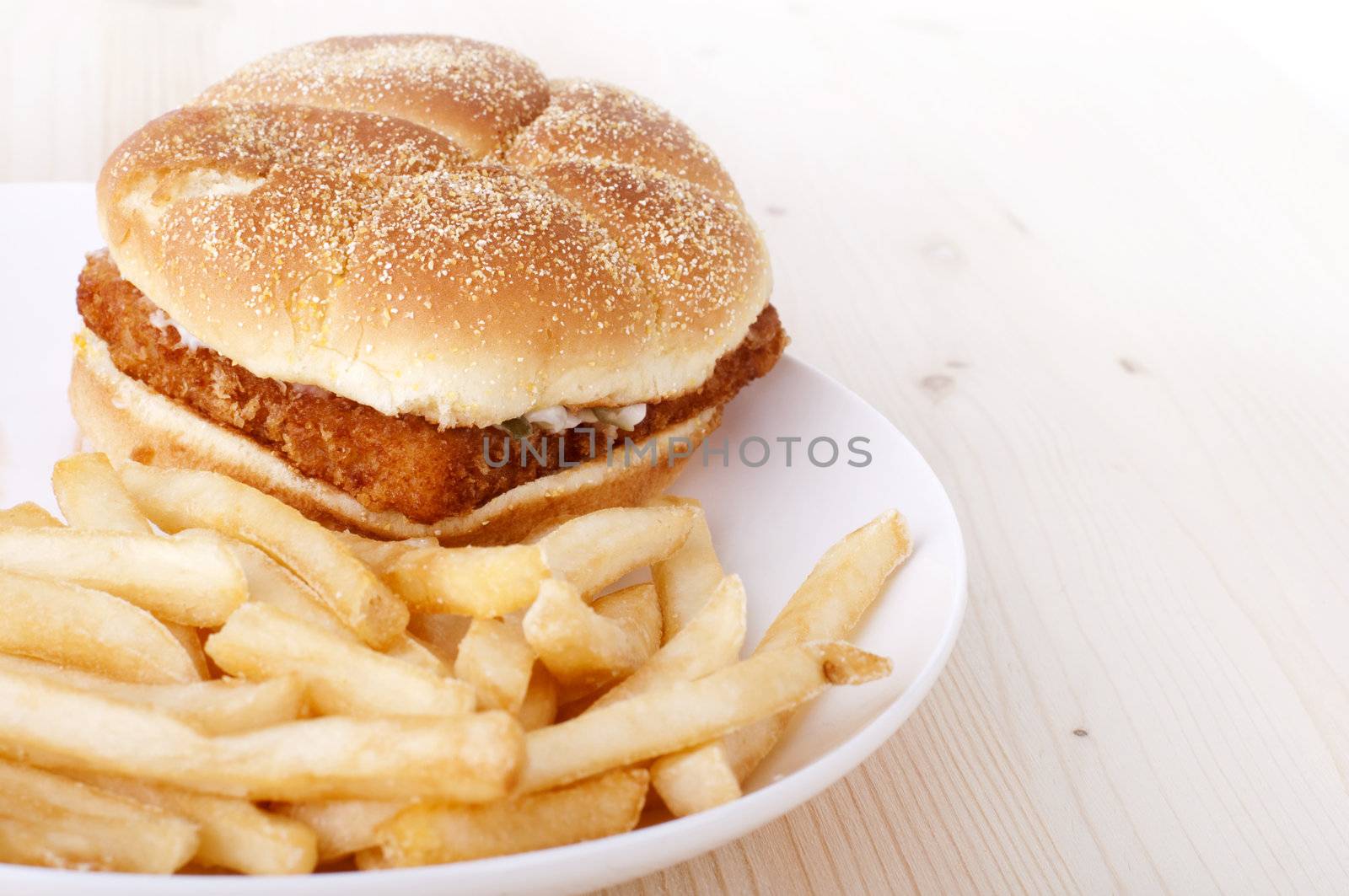 Fish burger and French Fries on plate