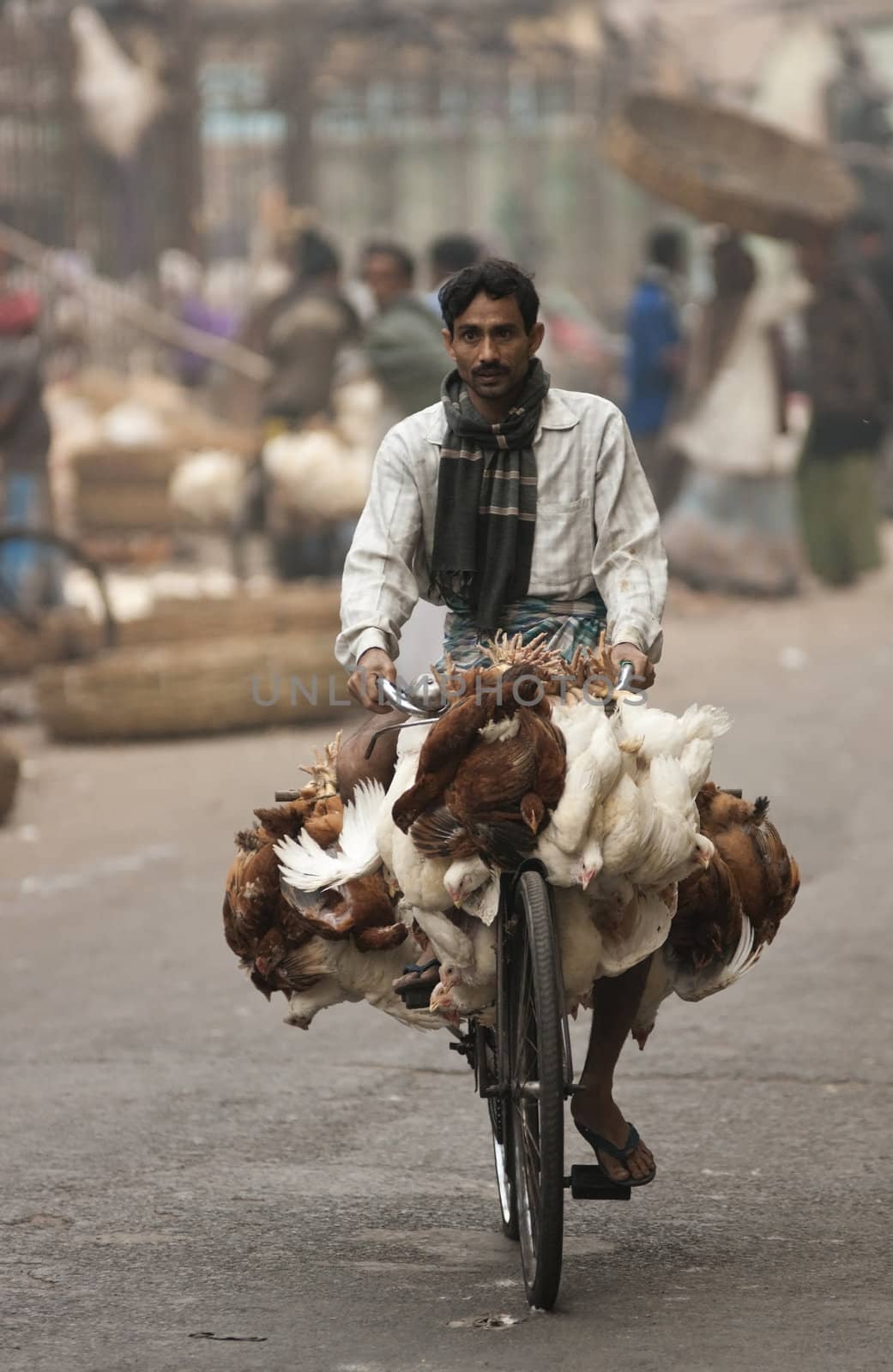 Man riding a bicycle loaded with chickens along a city street in Calcutta, West Bengal, India.