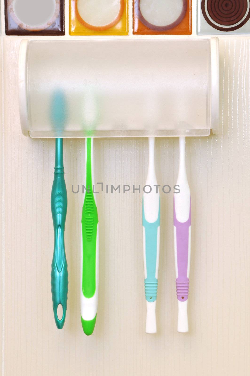 Colored tooth brushes in a holder