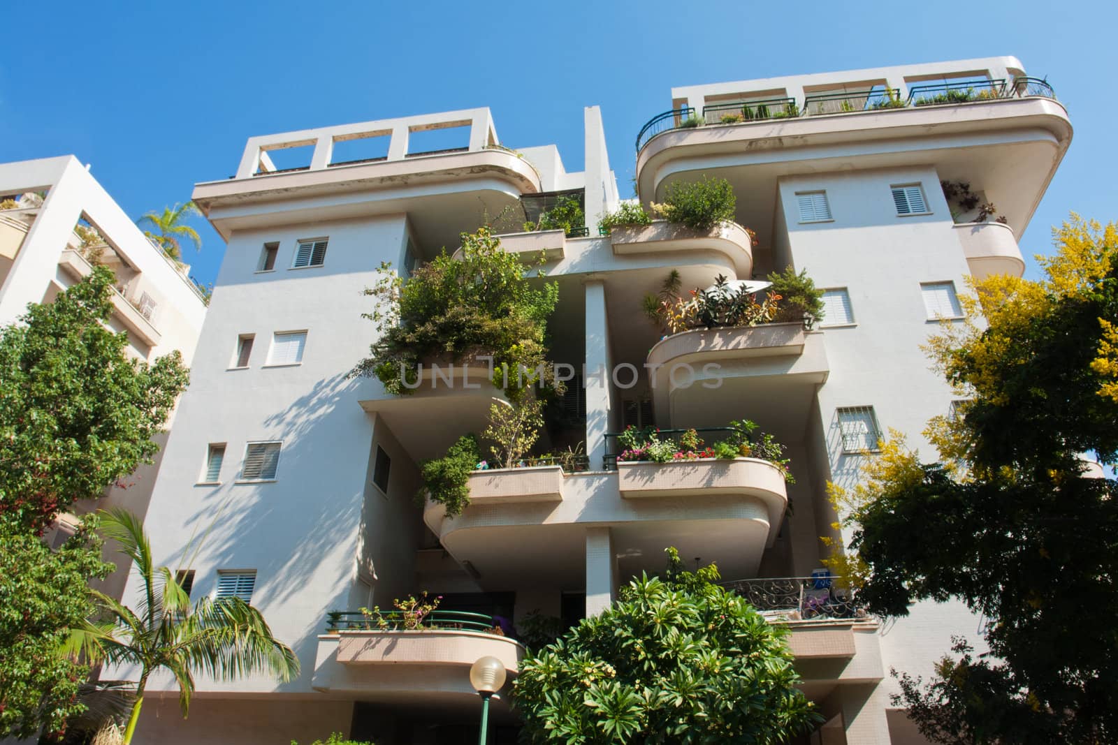 Modern design luxurious executive apartments city condominium building with green gardens