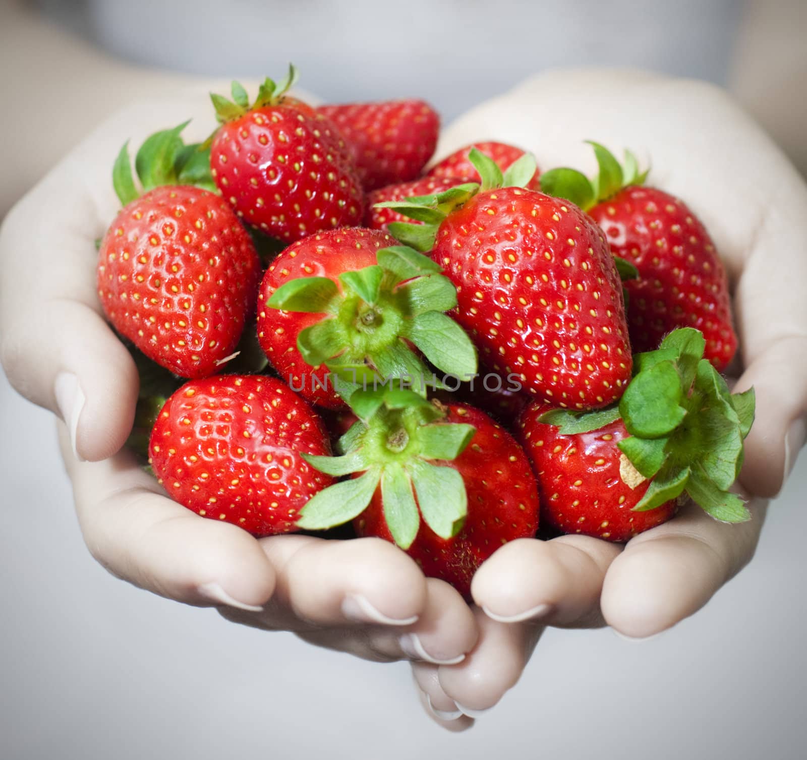 Many strawberries on hand, focus on strawberry.