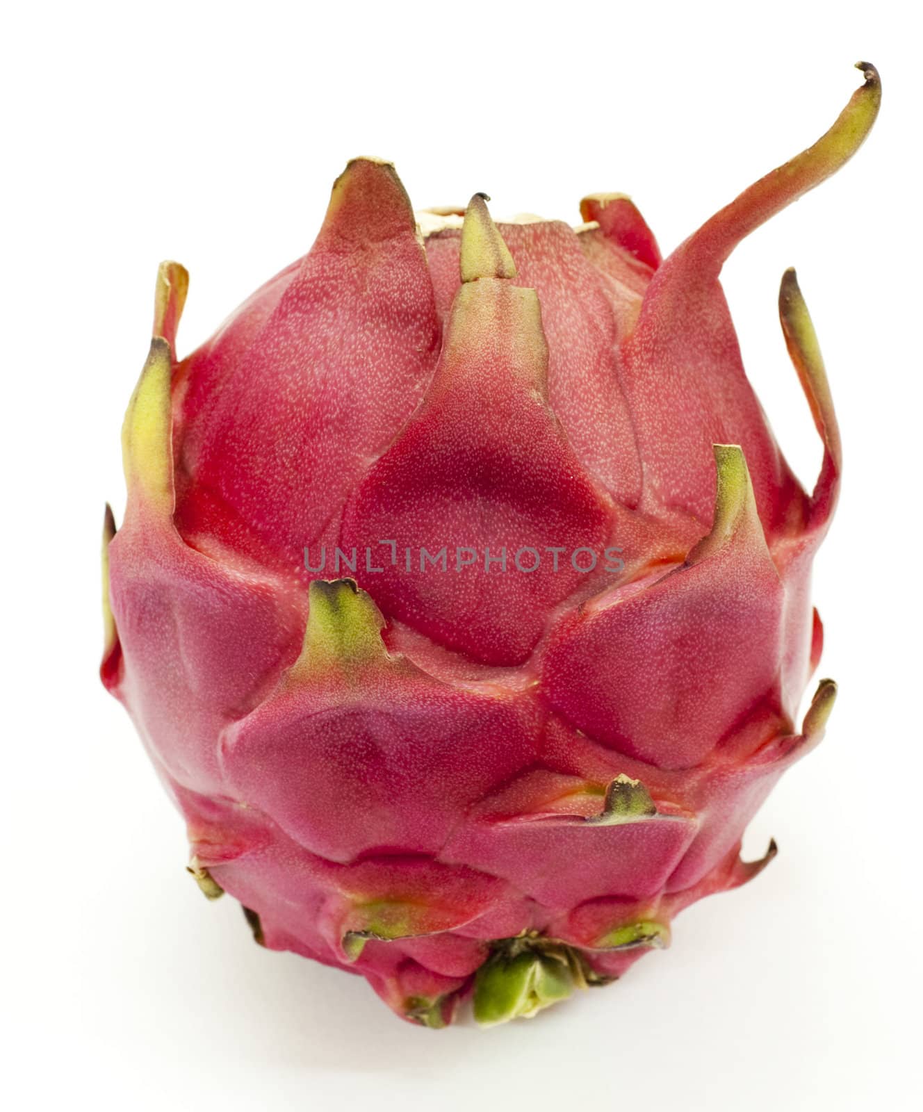 The Dragon Fruit is also known as pitaya, pitahaya, huo long guo, strawberry pear, nanettikafruit or Thanh Long.