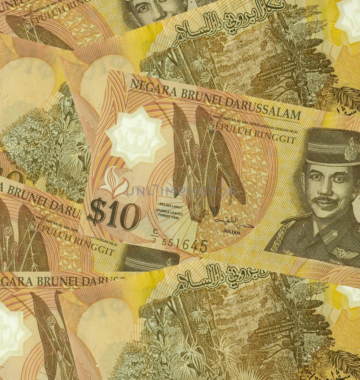 Brunei darussalam currency