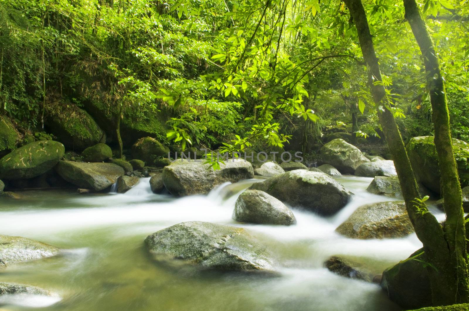 A mountain river with stream falling into it in the morning