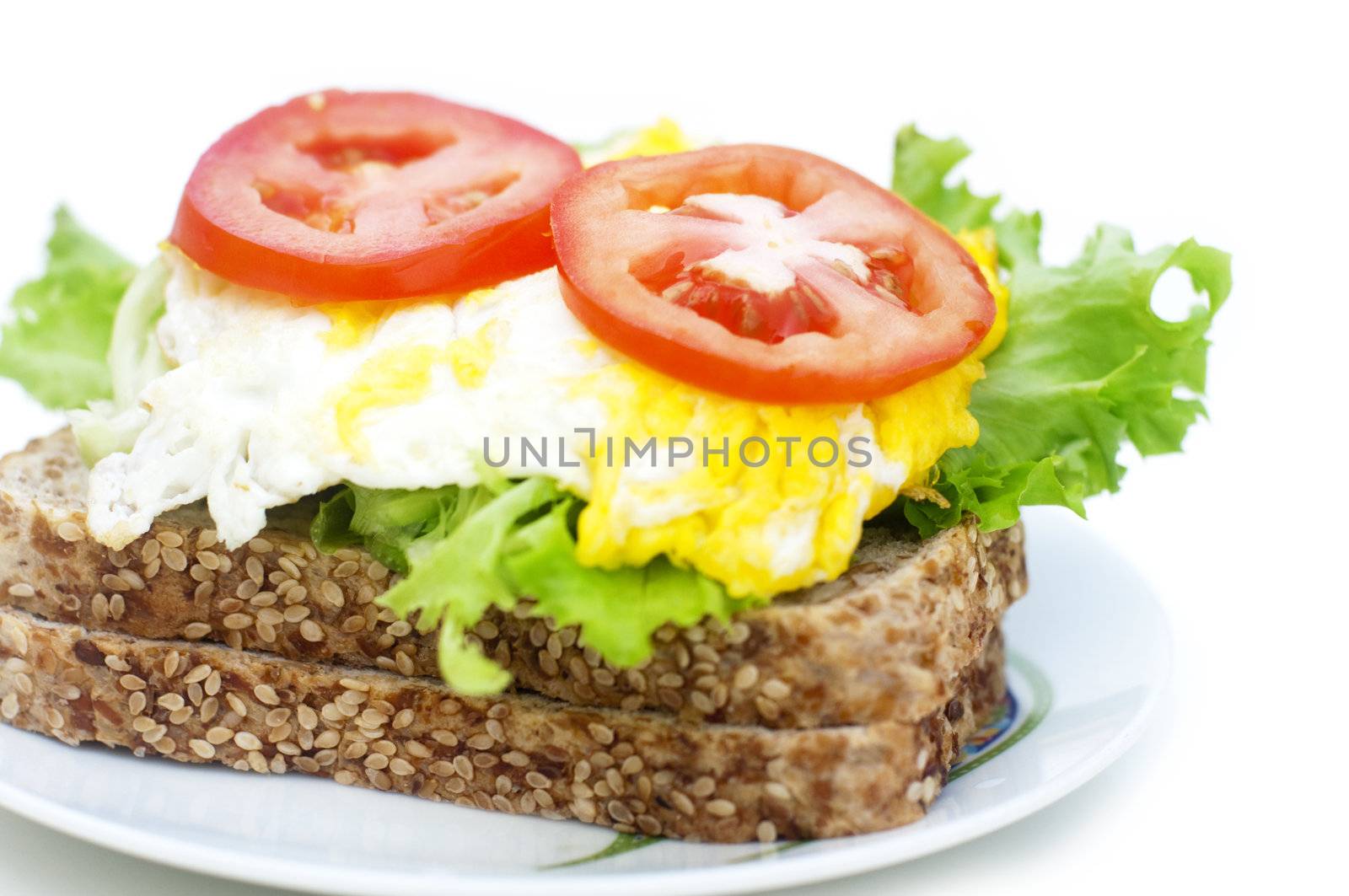 Organic healthy egg sandwich on plate. 