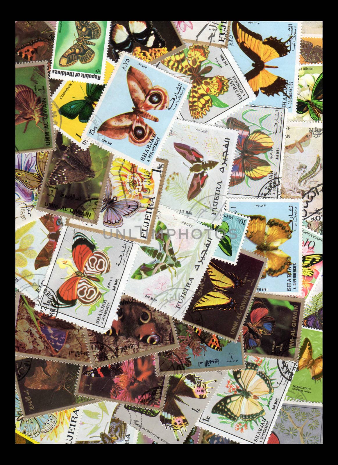 A Collectin of Butterfly Stamps  by d40xboy