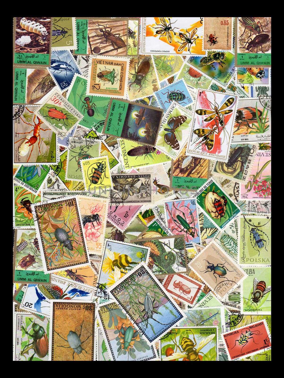 A collection of Thematic Postage Stamps of Insects,Beetles and other Bugs isolated on black