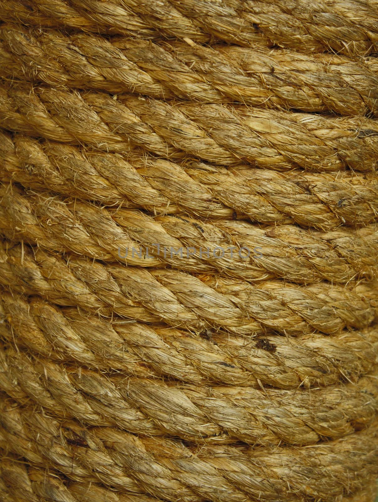 Close up view of the rope background