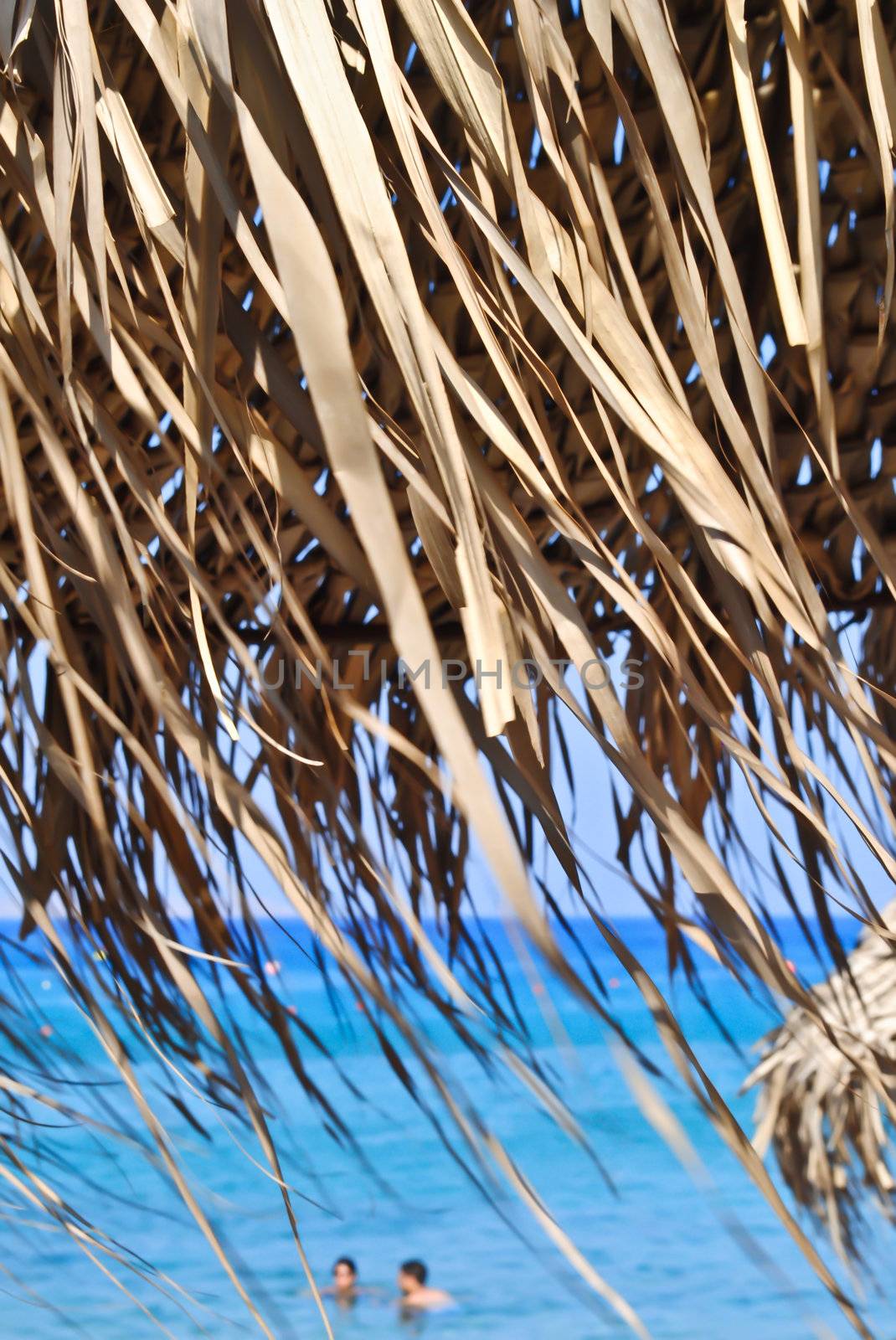 relaxation under greek palms and swimming in blue sea